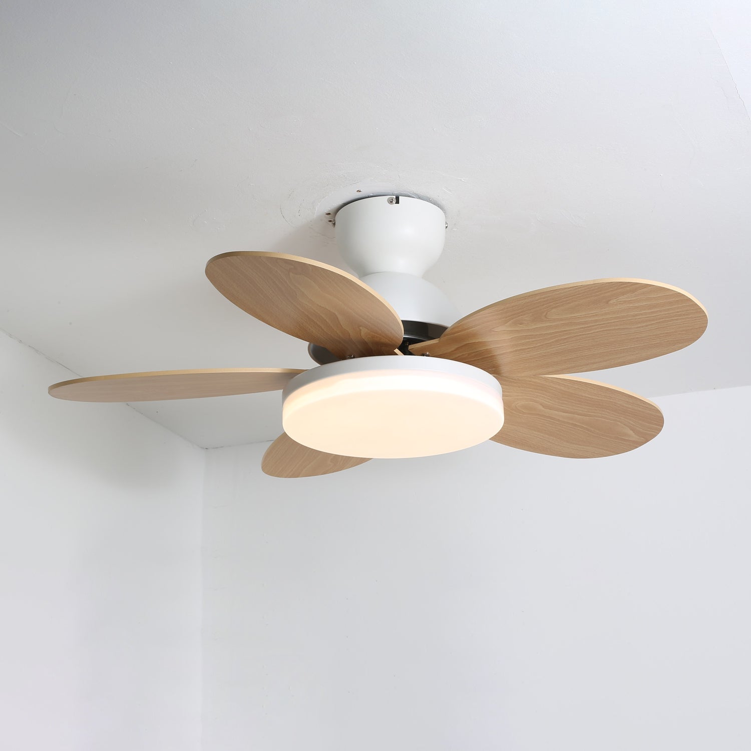 Petalo Ceiling Fan Light by FIFTH & BEAM — product view 3