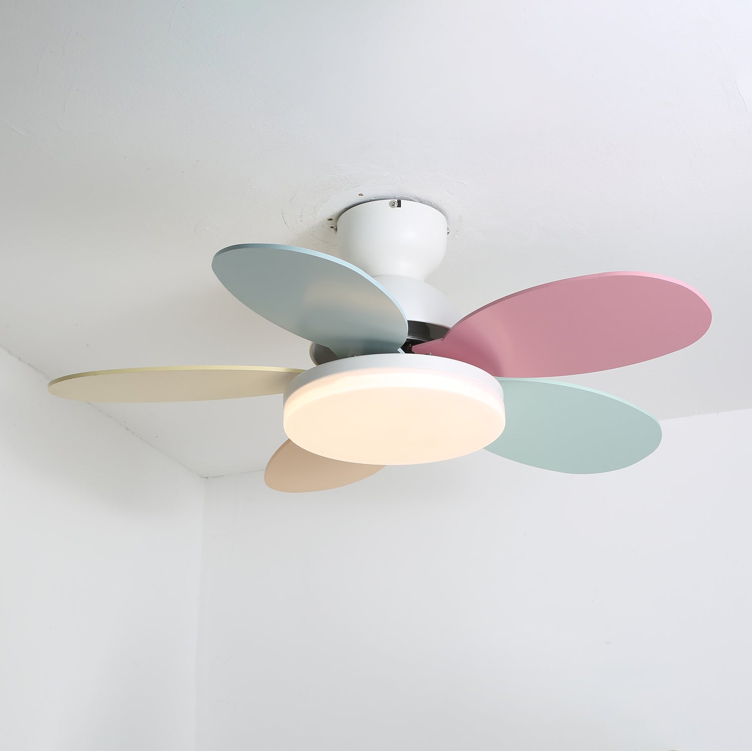 Petalo Ceiling Fan Light by FIFTH & BEAM — product view 39