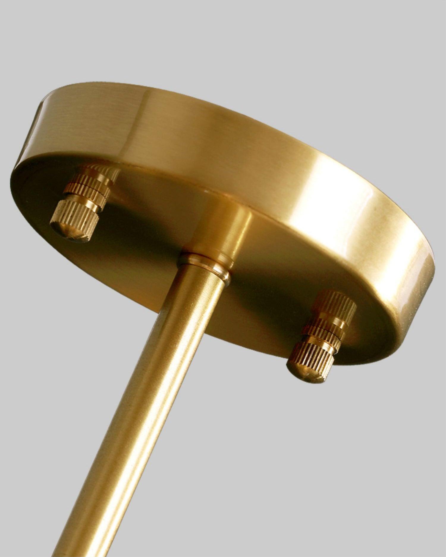 Rhizome Ceiling Light by FIFTH & BEAM — product view 29
