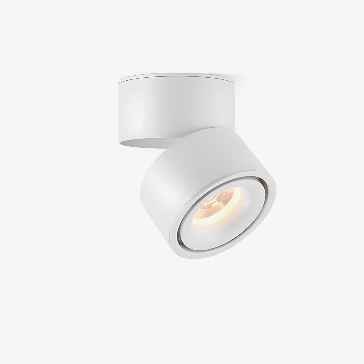 Rotatable Spotlight Ceiling Light by FIFTH & BEAM — product view 1