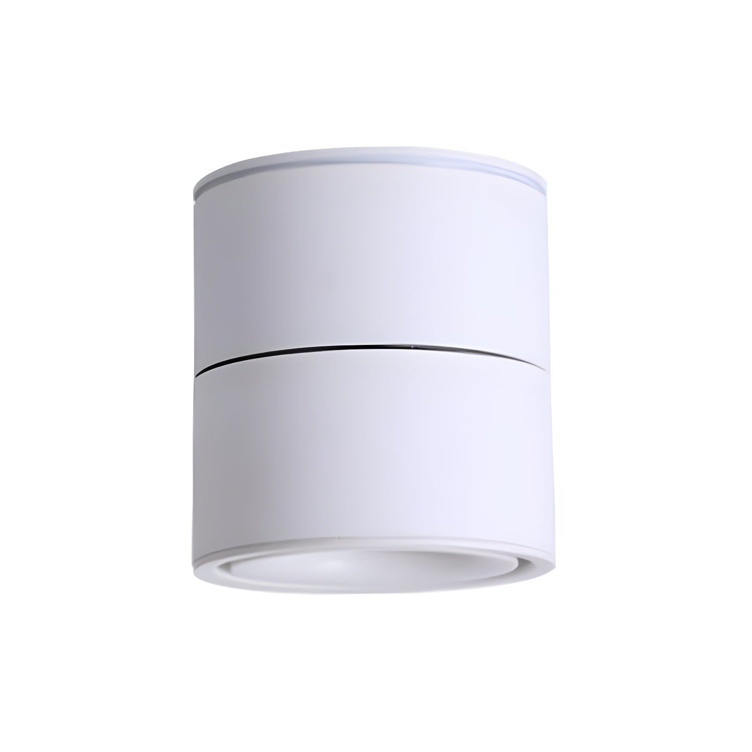 Rotatable Spotlight Ceiling Light by FIFTH & BEAM — product view 15