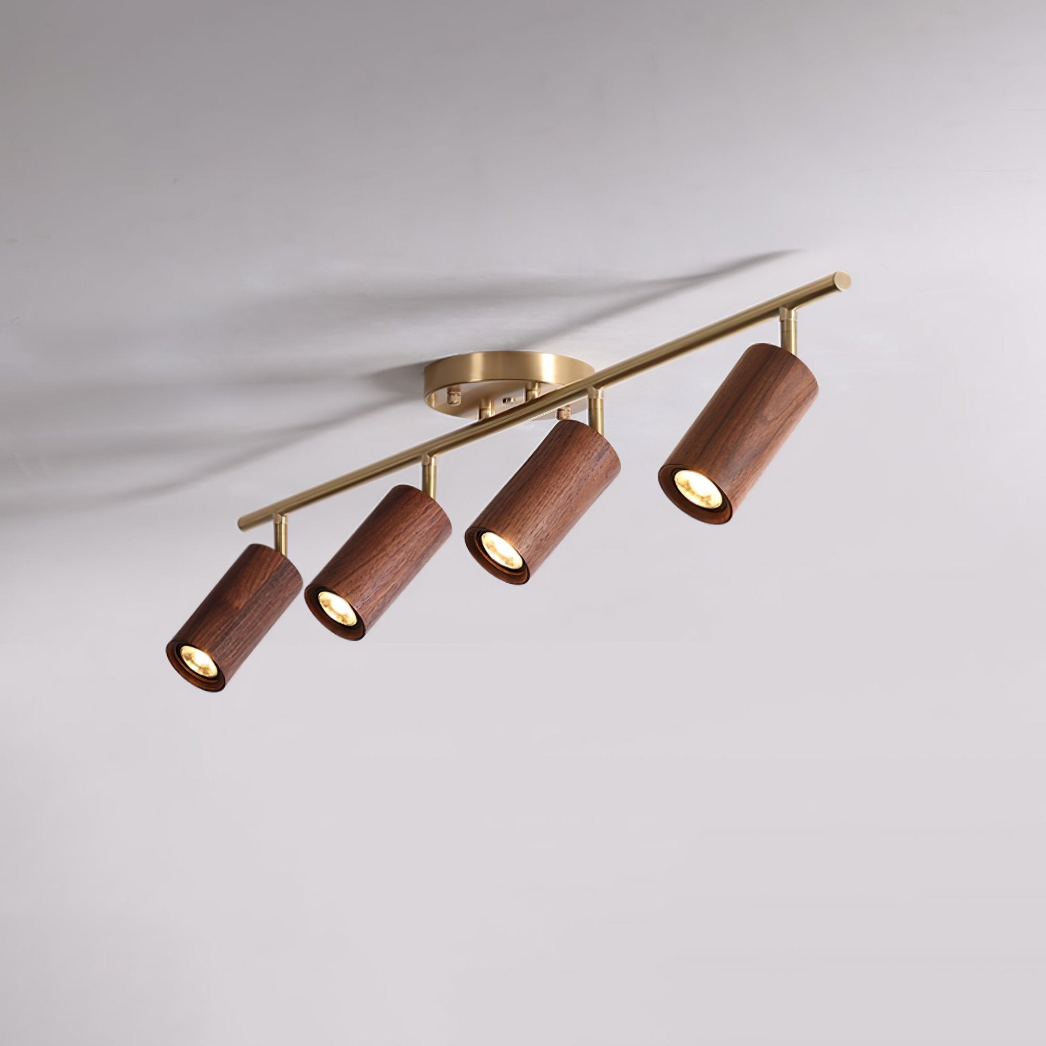 Rowan Ceiling Light by FIFTH & BEAM — product view 2