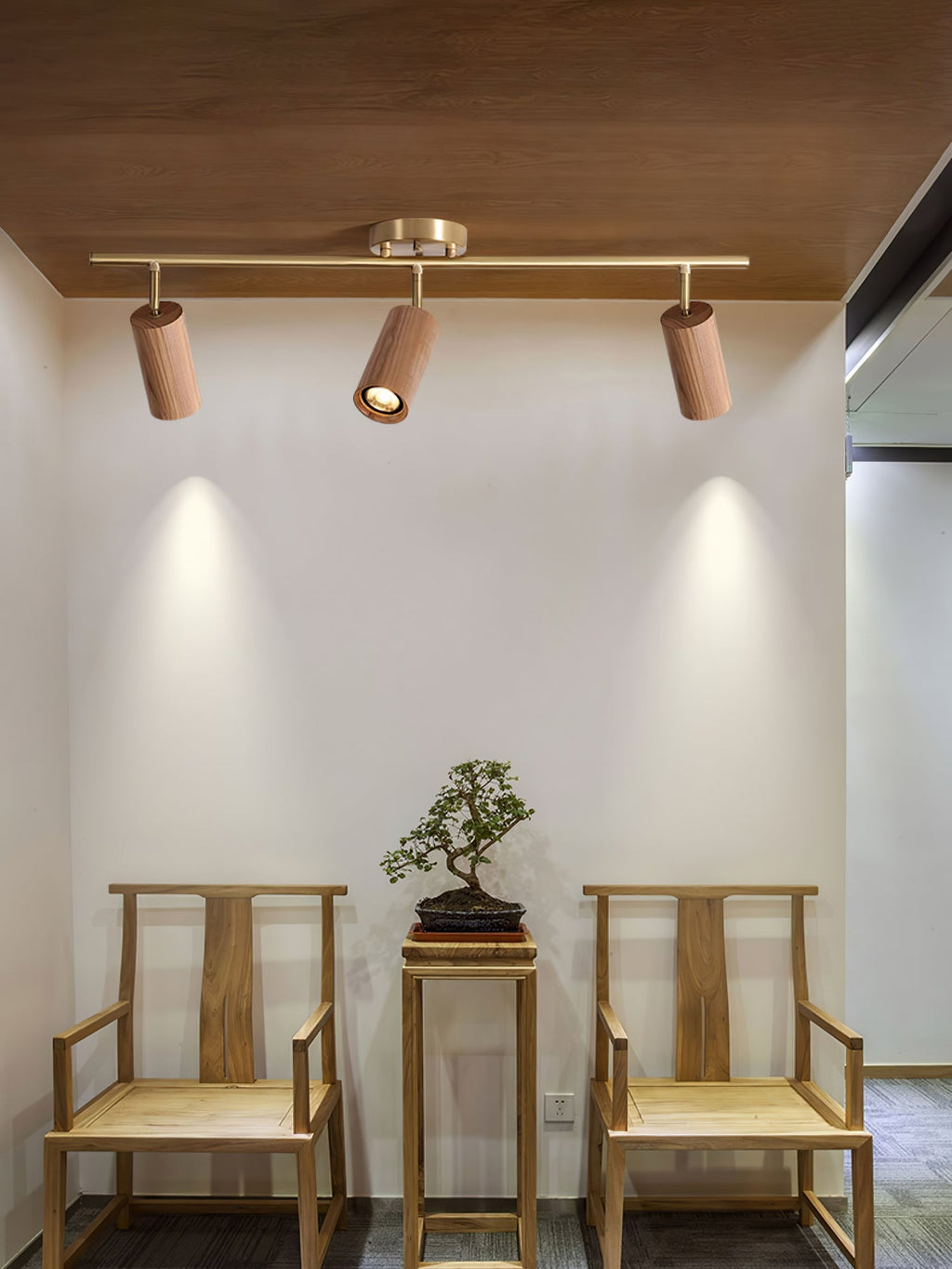 Rowan Ceiling Light by FIFTH & BEAM — product view 13