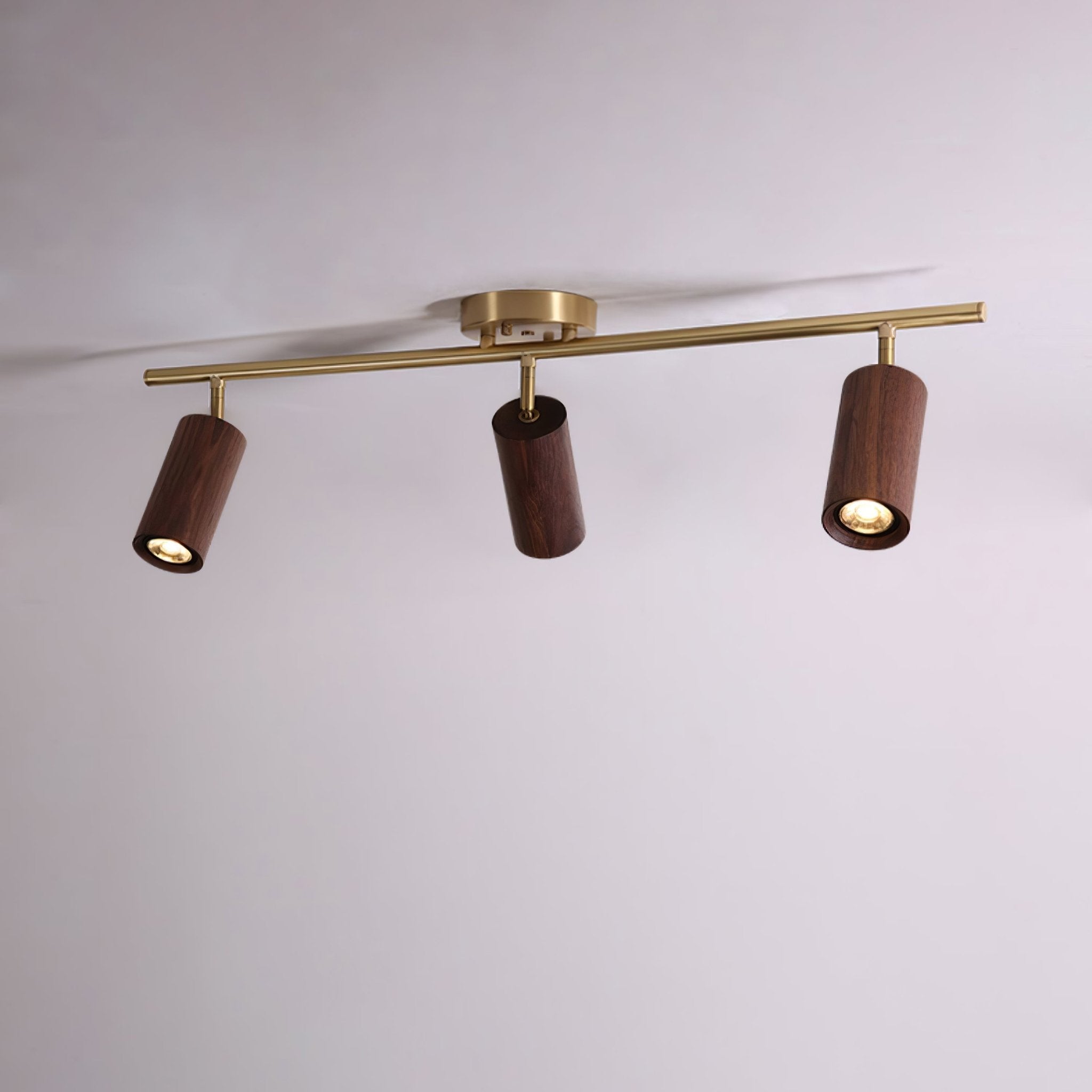 Rowan Ceiling Light by FIFTH & BEAM — product view 36
