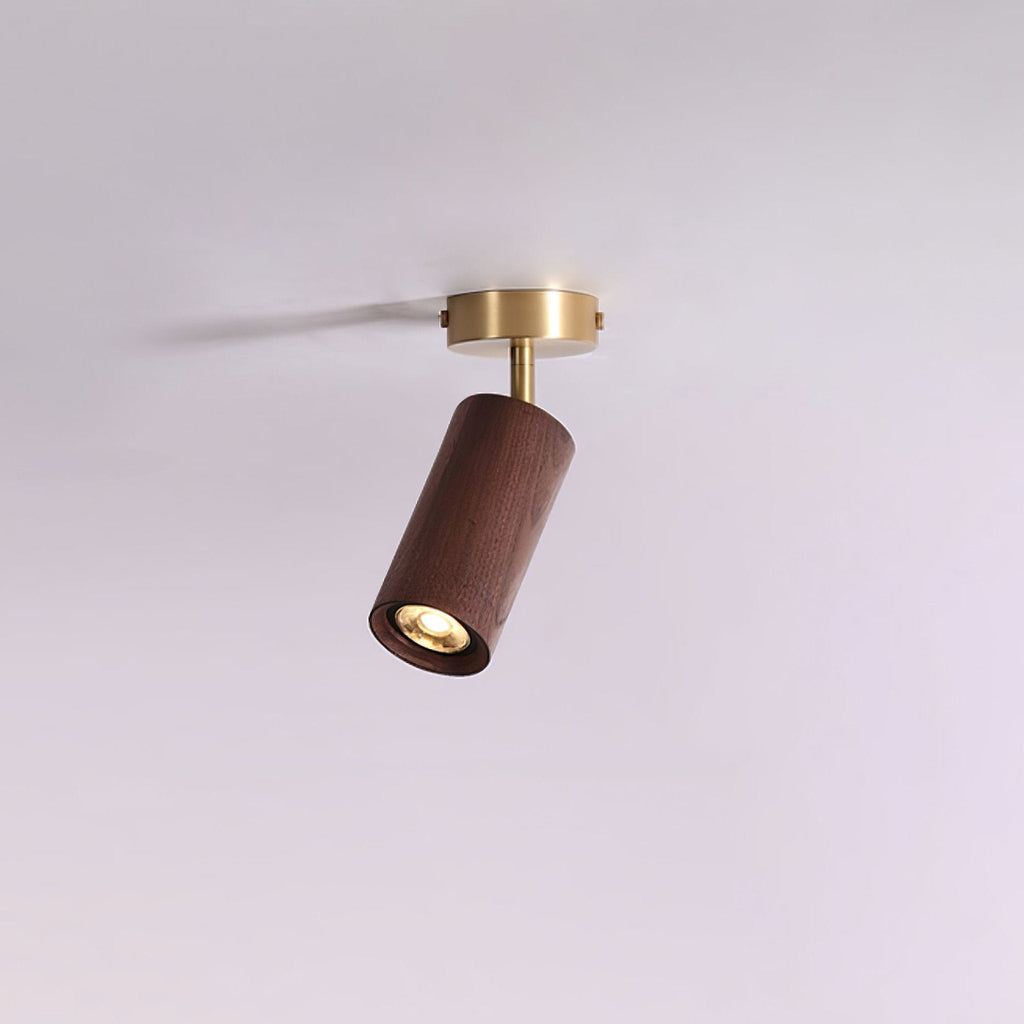 Rowan Ceiling Light by FIFTH & BEAM — product view 35