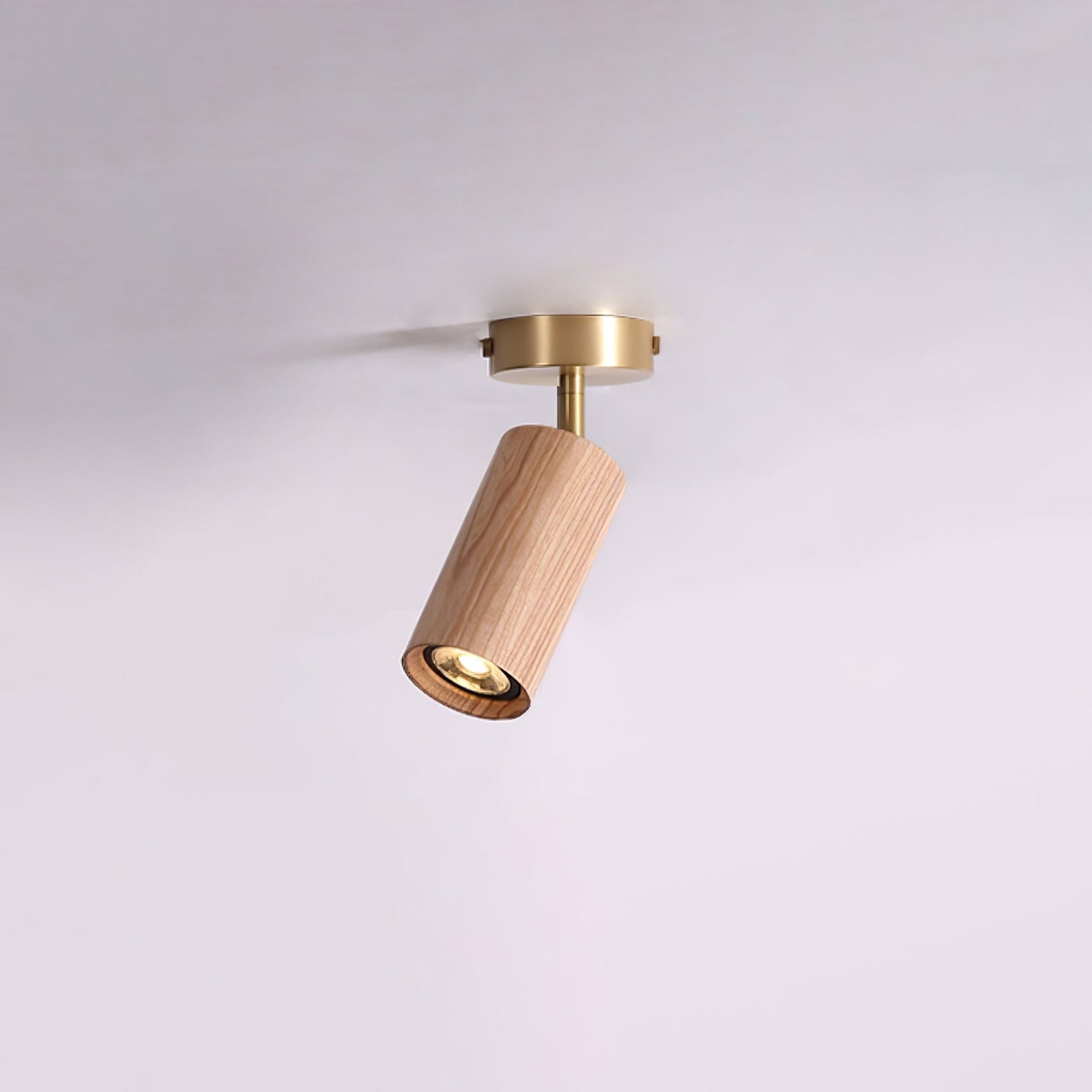 Rowan Ceiling Light by FIFTH & BEAM — product view 4