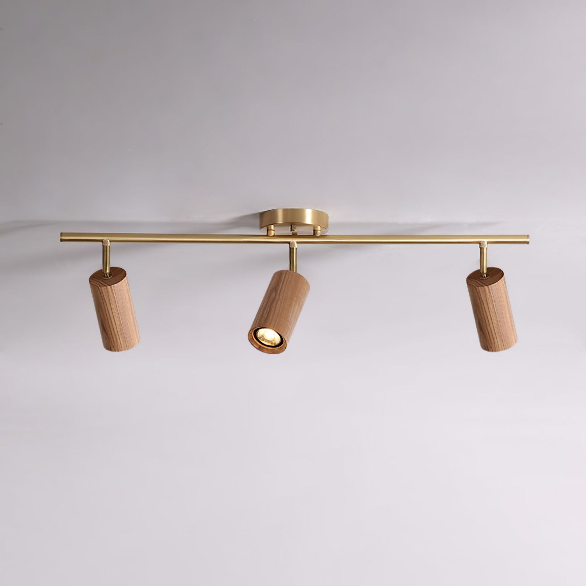 Rowan Ceiling Light by FIFTH & BEAM — product view 3