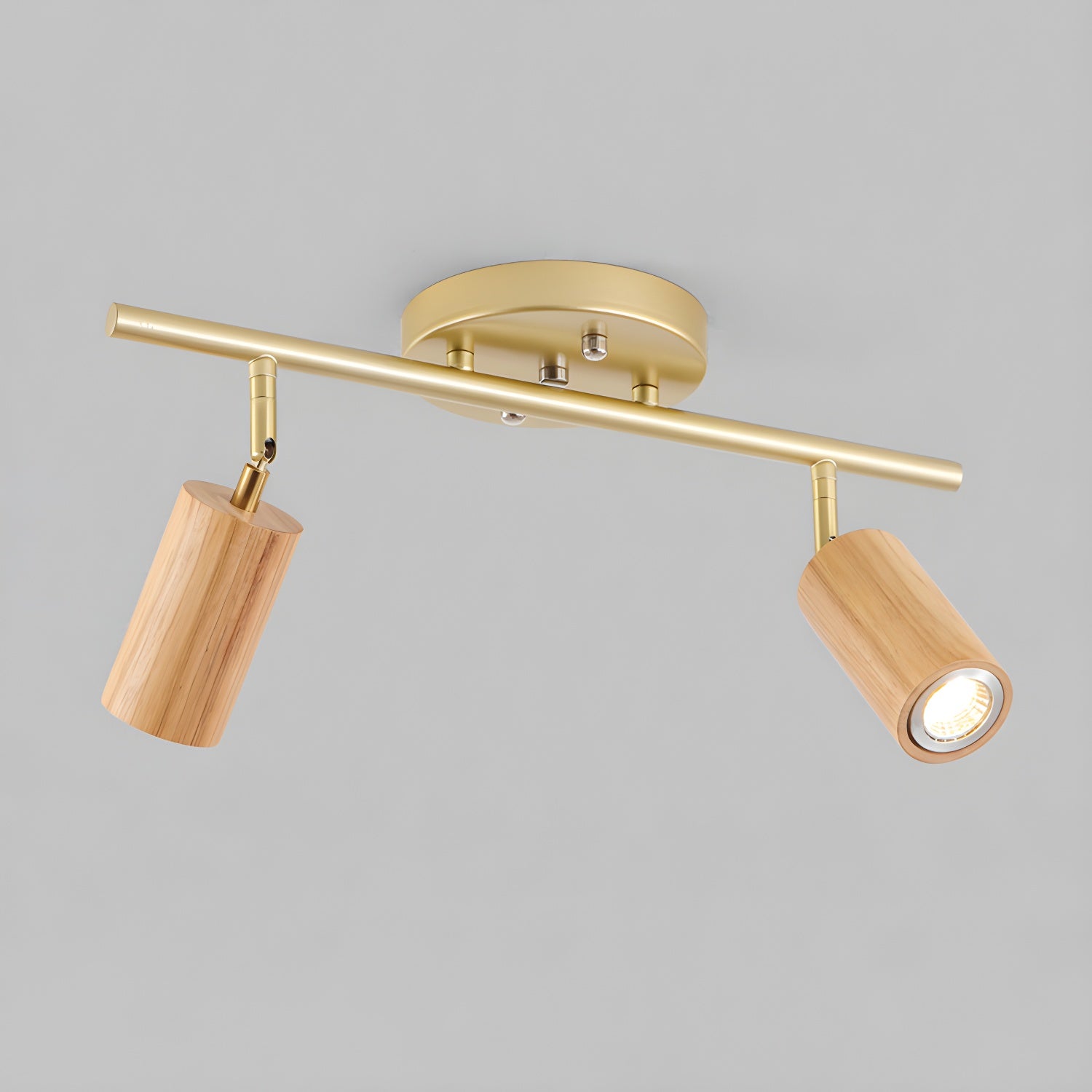 Rowan Ceiling Light by FIFTH & BEAM — product view 21