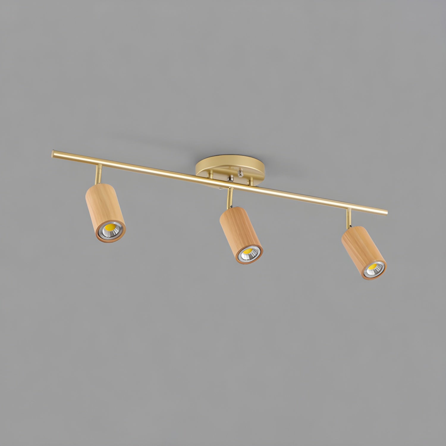 Rowan Ceiling Light by FIFTH & BEAM — product view 24