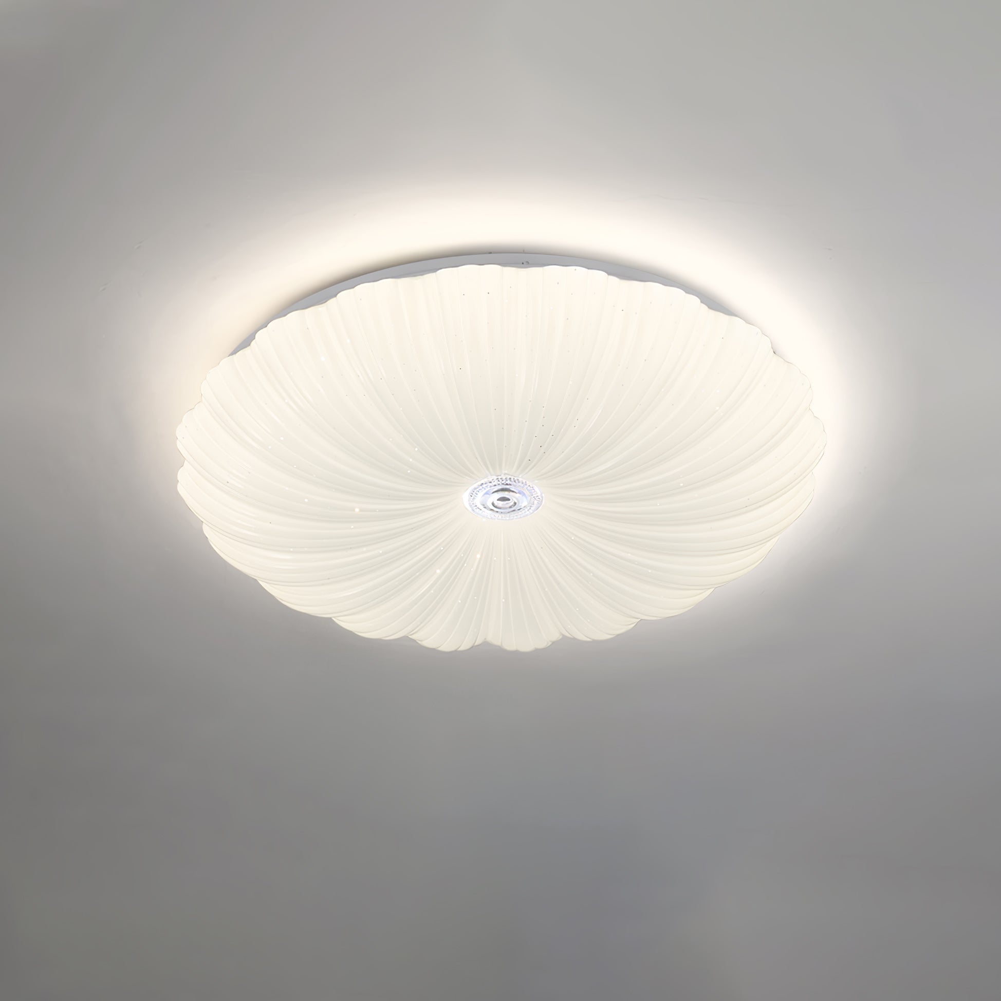 Acrylic Shell Round Ceiling Lamp by FIFTH & BEAM — product view 7