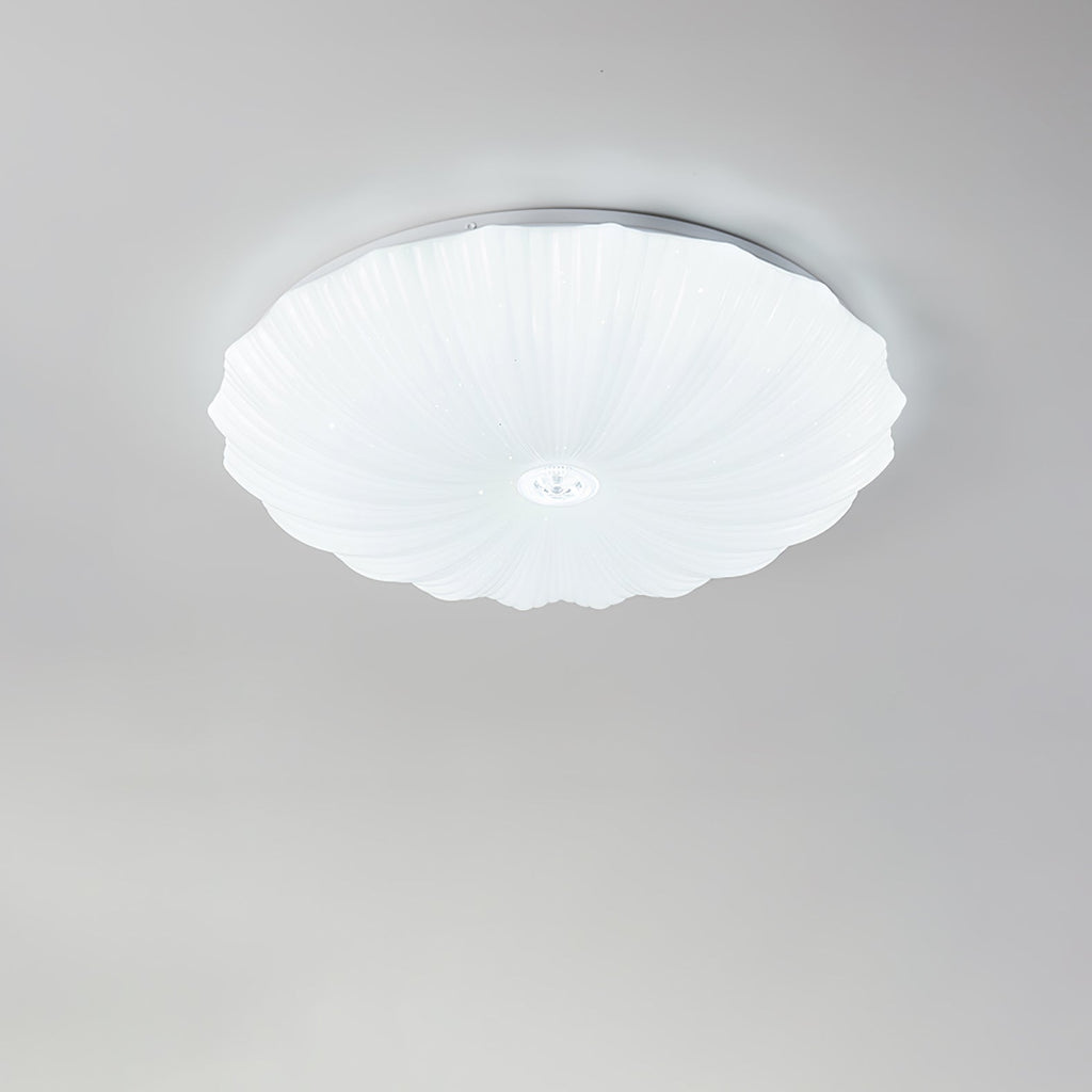 Acrylic Shell Round Ceiling Lamp by FIFTH & BEAM — product view 12
