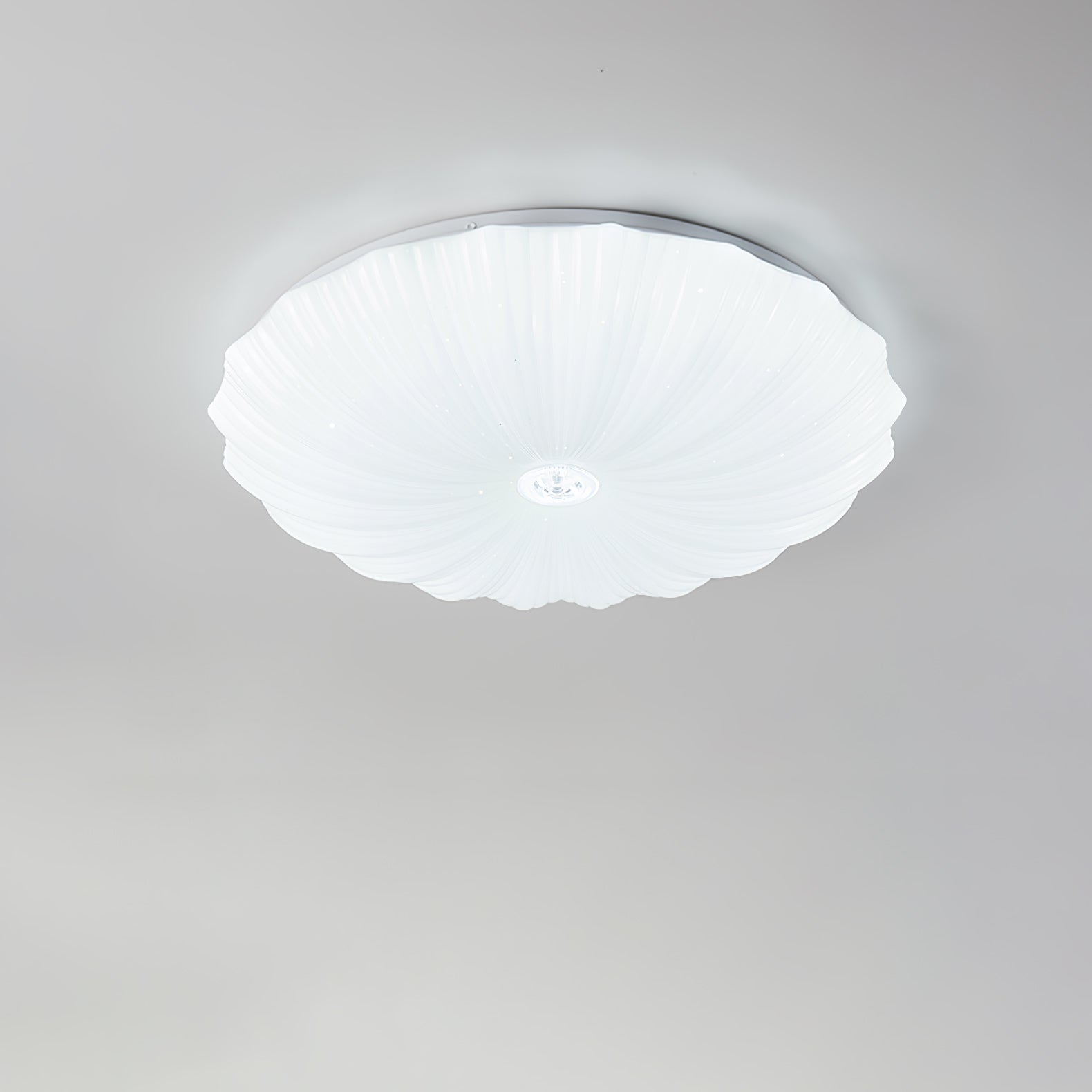 Acrylic Shell Round Ceiling Lamp by FIFTH & BEAM — product view 12