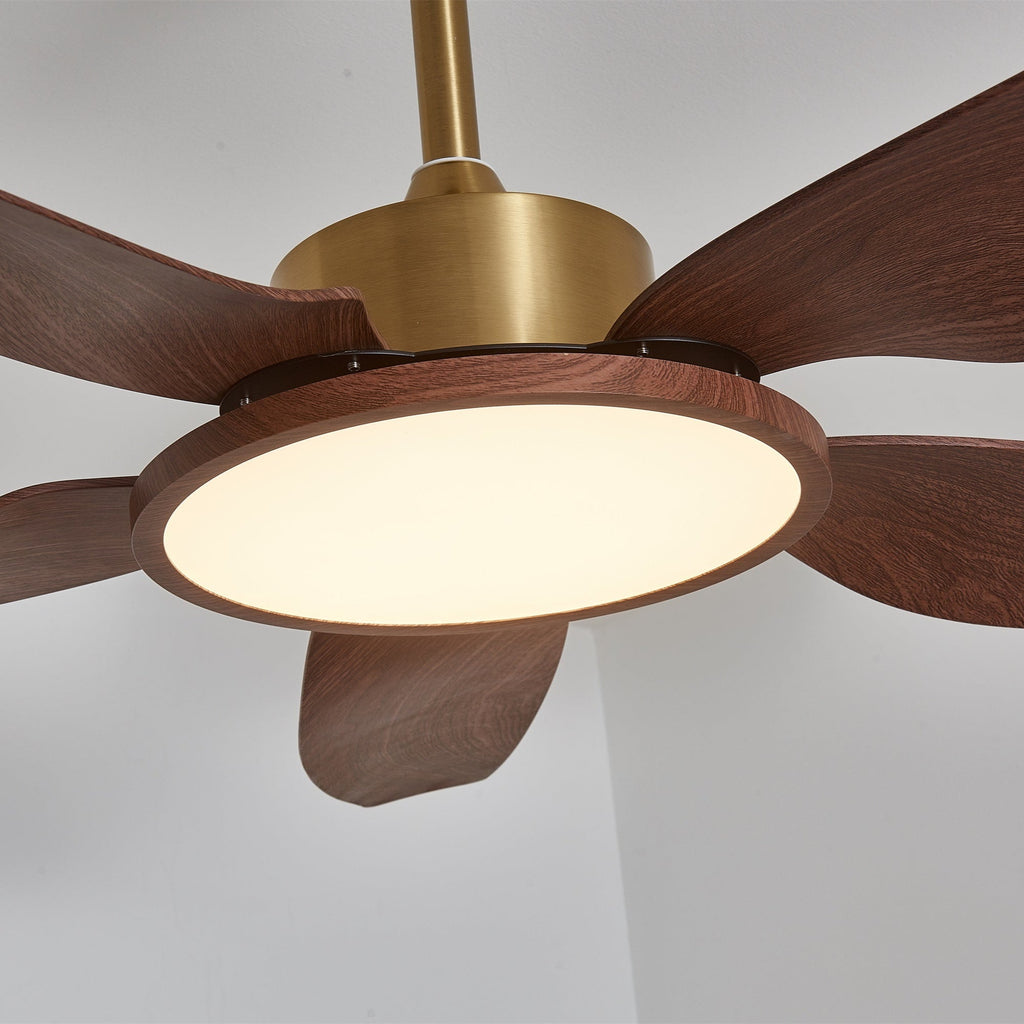Sirocco Breeze Ceiling Fan Light by FIFTH & BEAM — product view 18