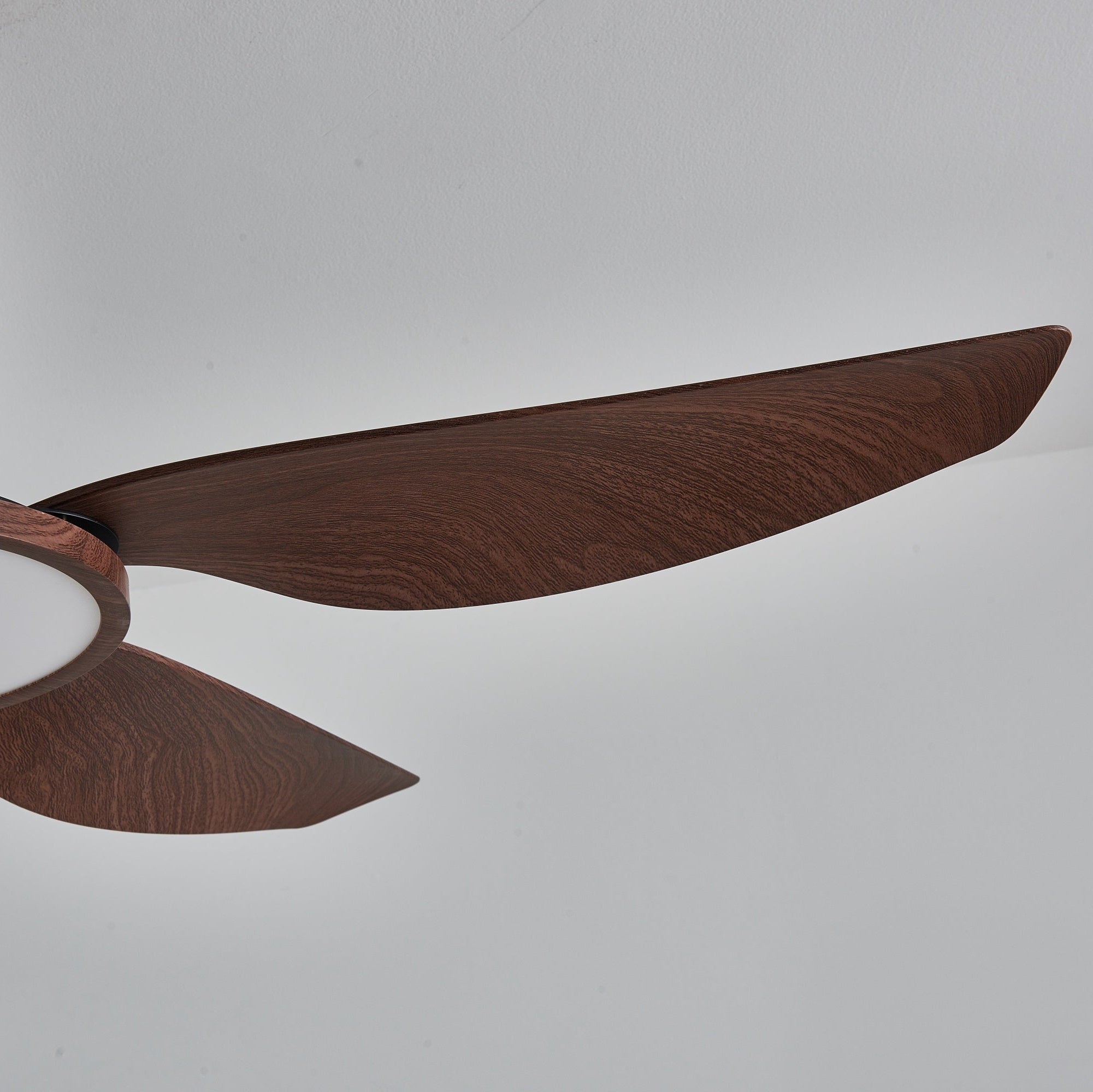 Sirocco Breeze Ceiling Fan Light by FIFTH & BEAM — product view 4