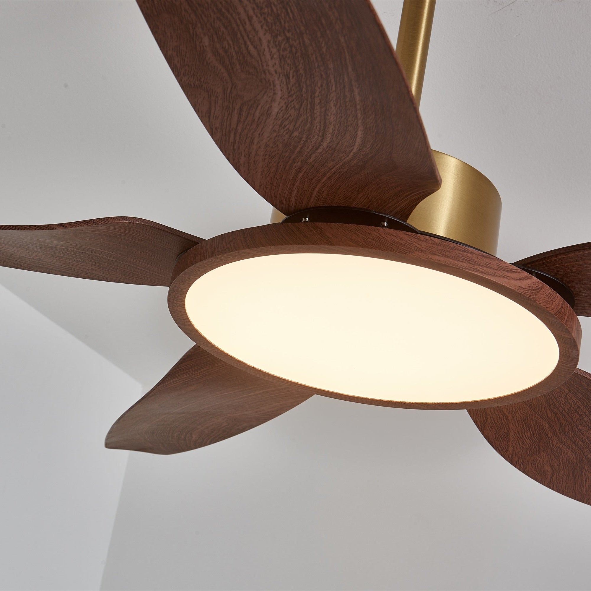 Sirocco Breeze Ceiling Fan Light by FIFTH & BEAM — product view 5
