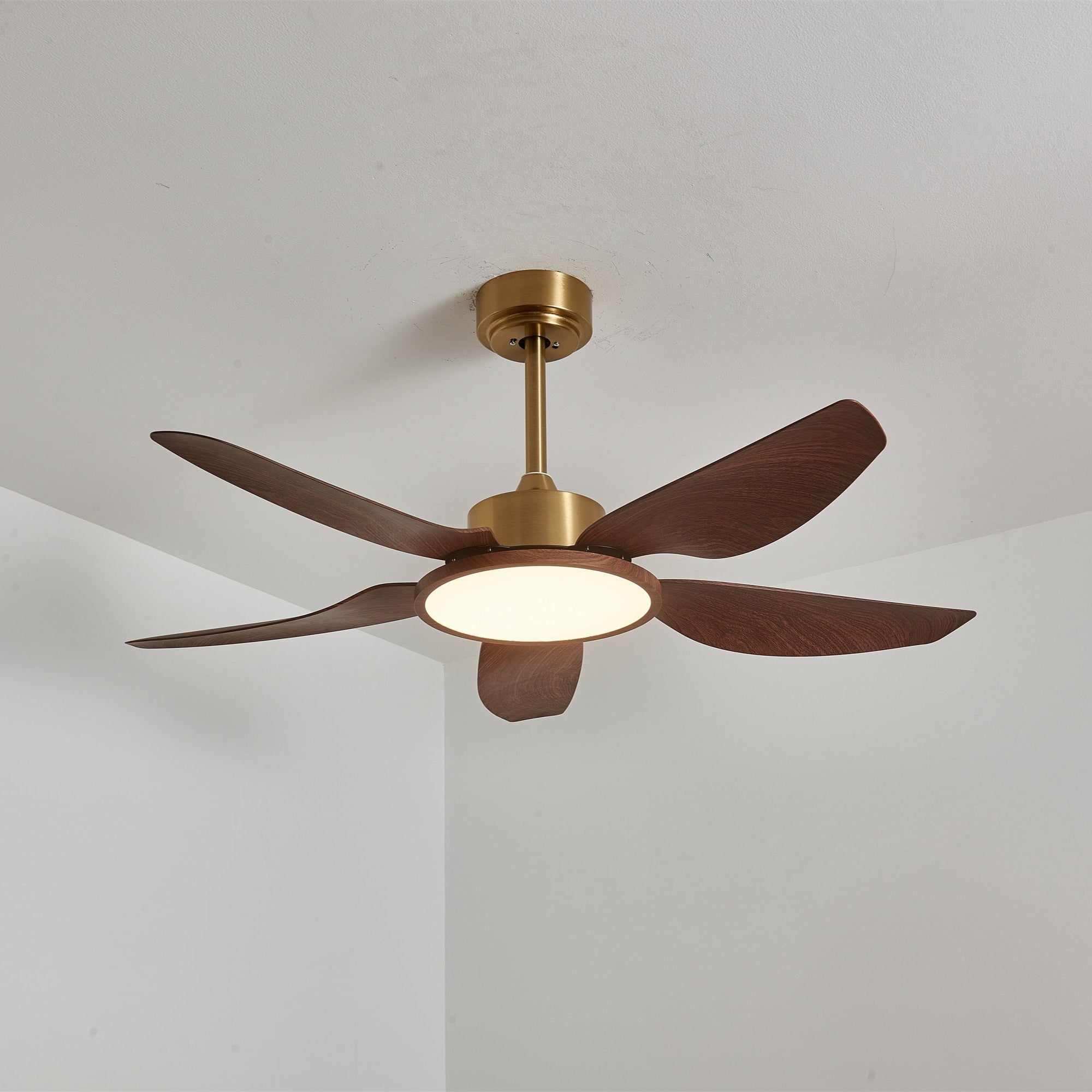 Sirocco Breeze Ceiling Fan Light by FIFTH & BEAM — product view 9