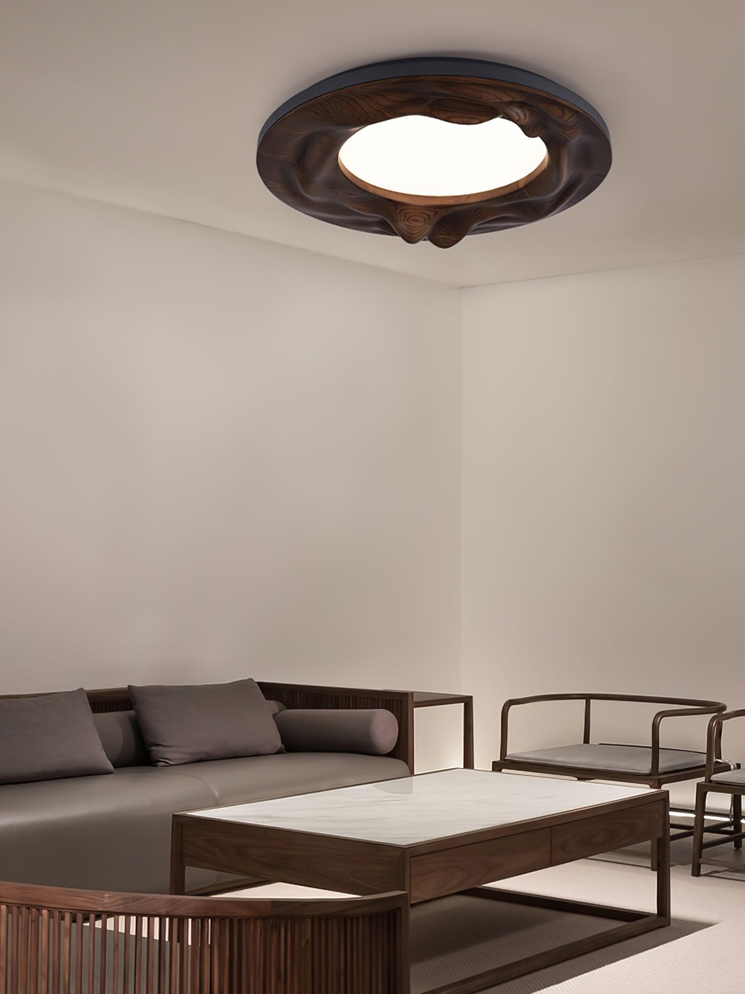 Sky Lake Ceiling Lamp 23.6" by FIFTH & BEAM — product view 10