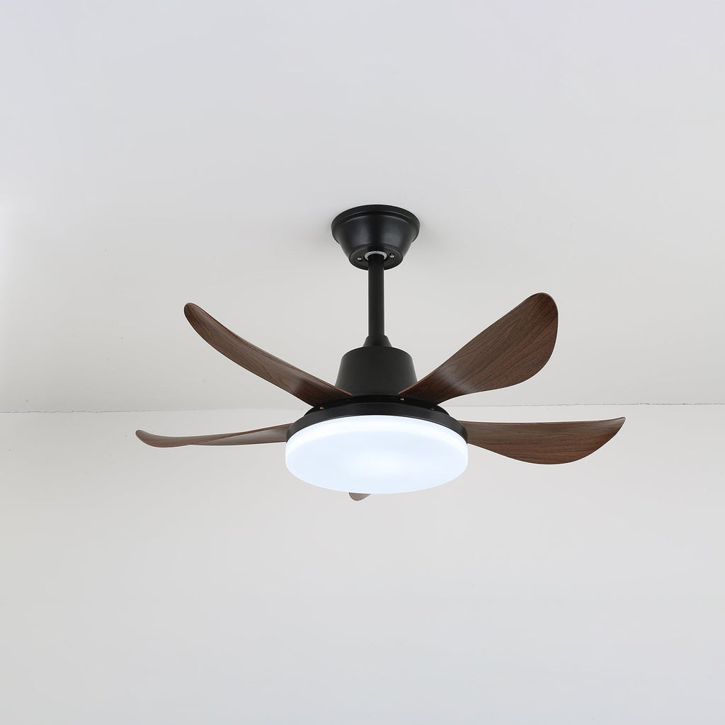 Lucas Ceiling Fan Light by FIFTH & BEAM — product view 5