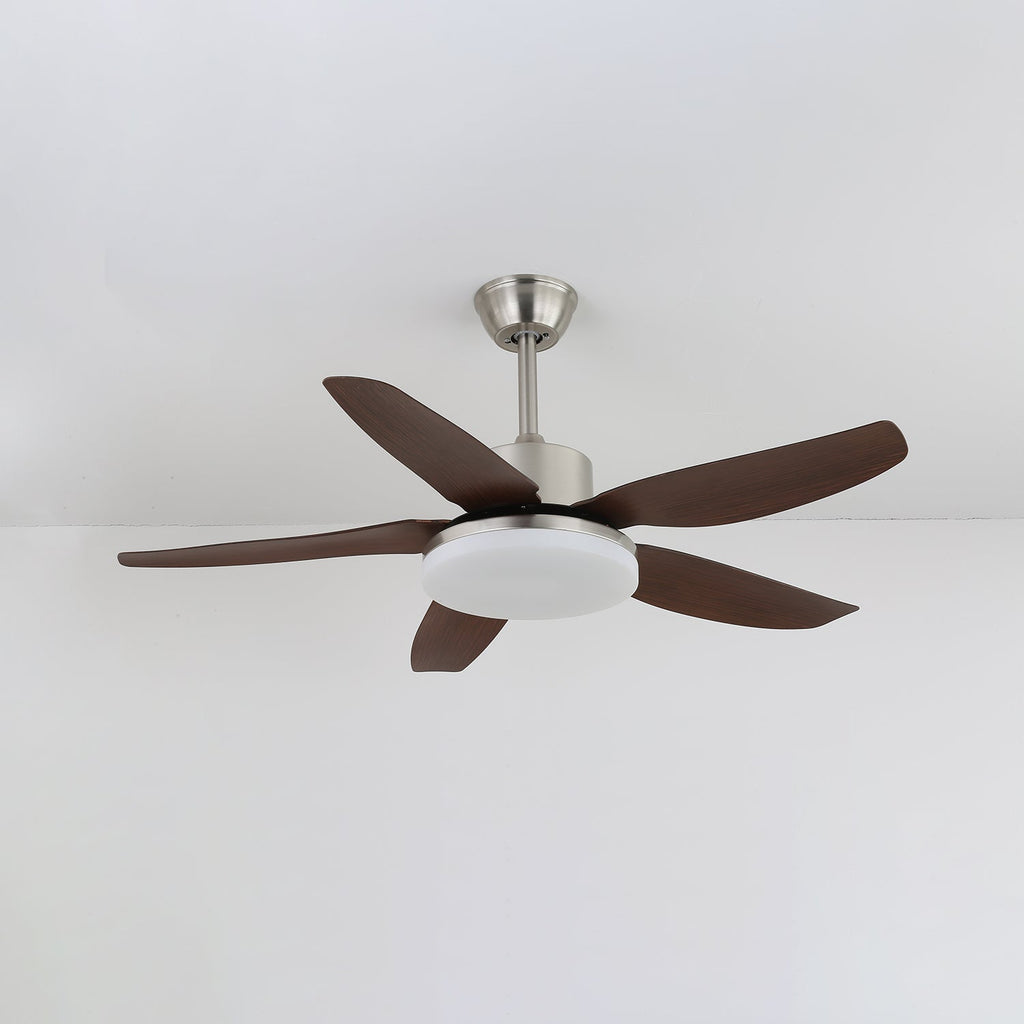 Sofia Ceiling Fan Light by FIFTH & BEAM — product view 4