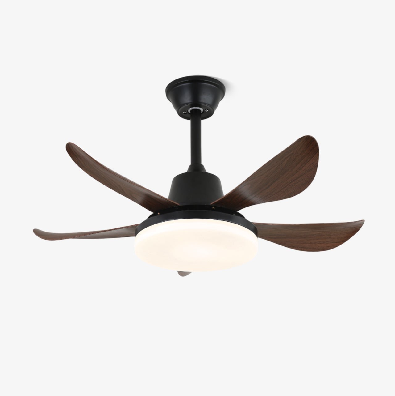 Lucas Ceiling Fan Light by FIFTH & BEAM — product view 4