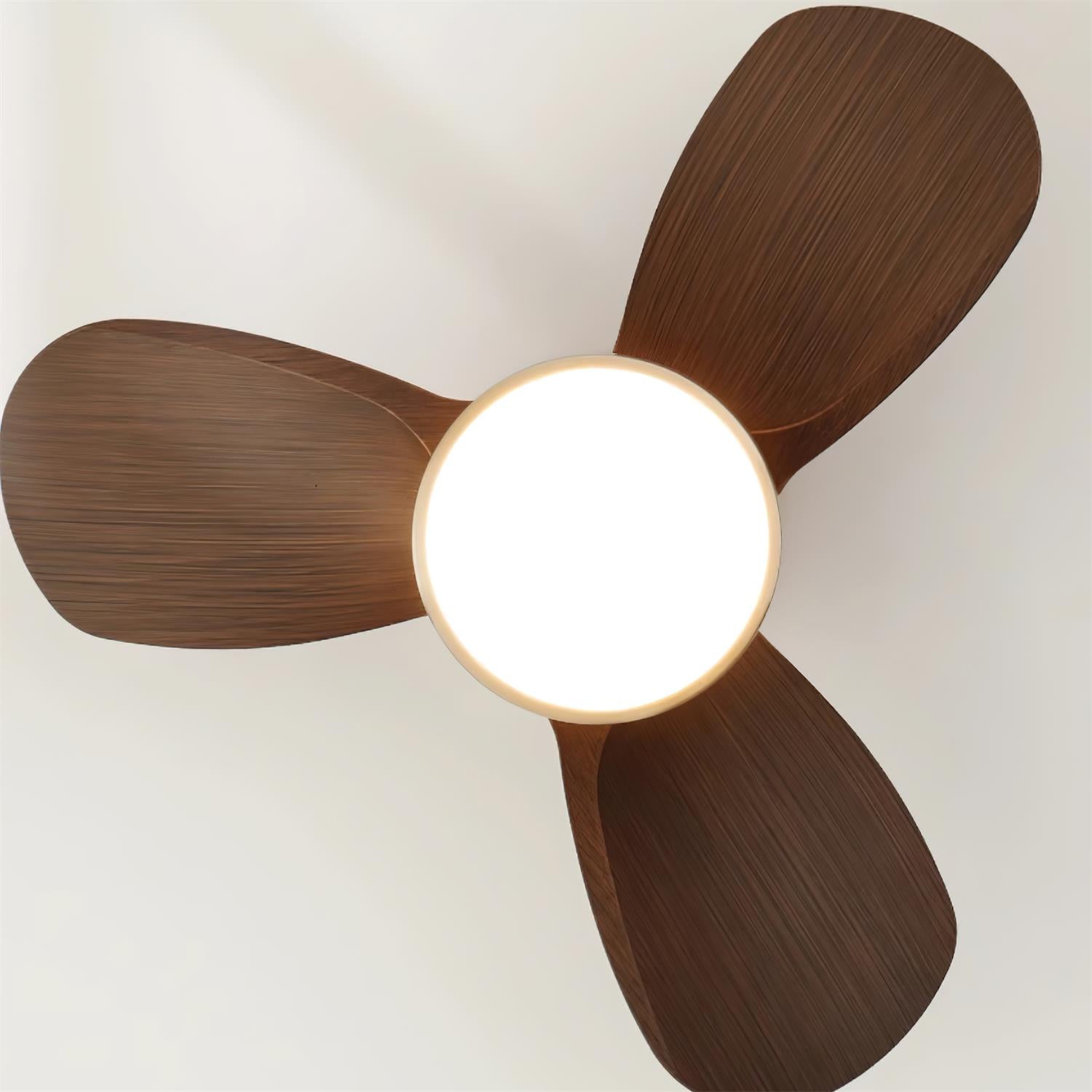 Talaya Ceiling Fan Light by FIFTH & BEAM — product view 8