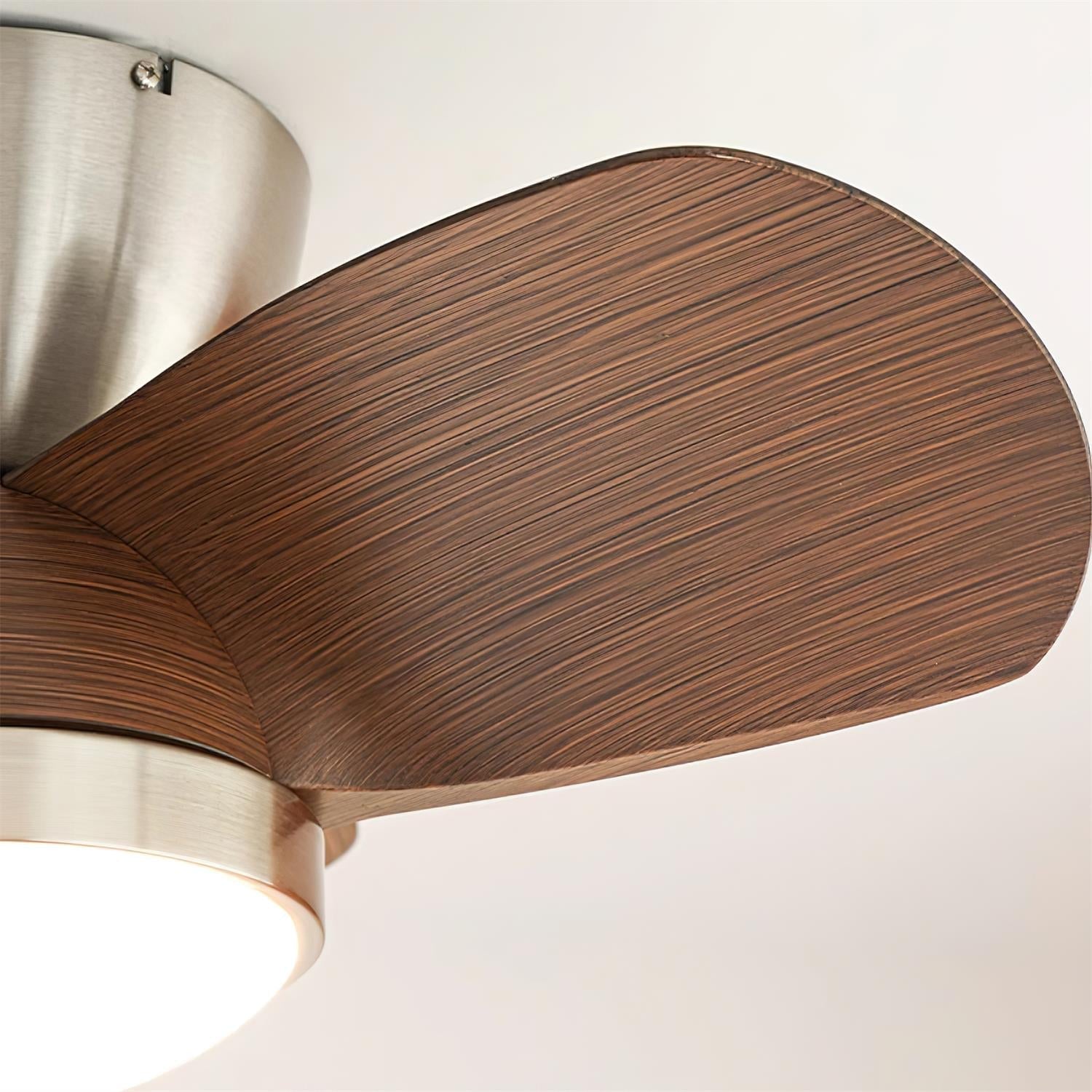 Talaya Ceiling Fan Light by FIFTH & BEAM — product view 11