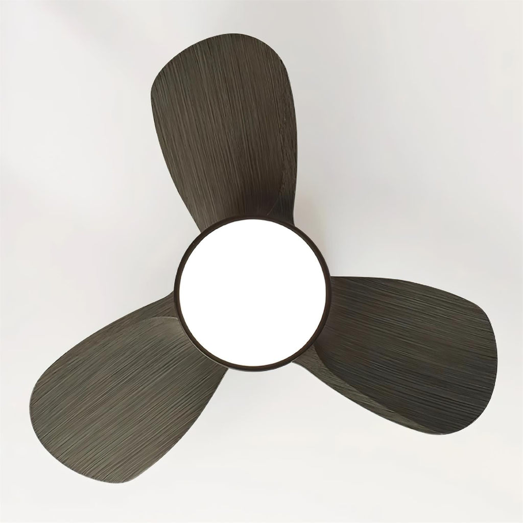 Talaya Ceiling Fan Light by FIFTH & BEAM — product view 4