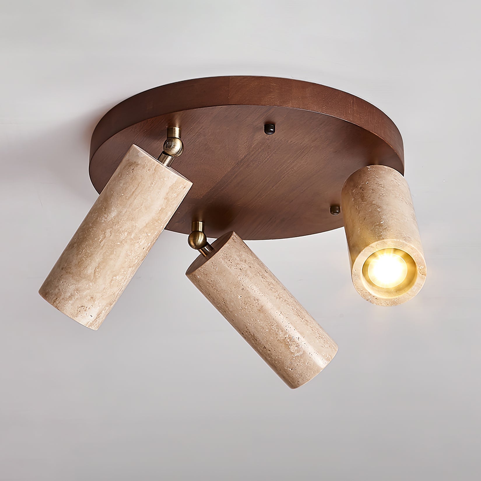 Terra Beam Ceiling Light by FIFTH & BEAM — product view 6