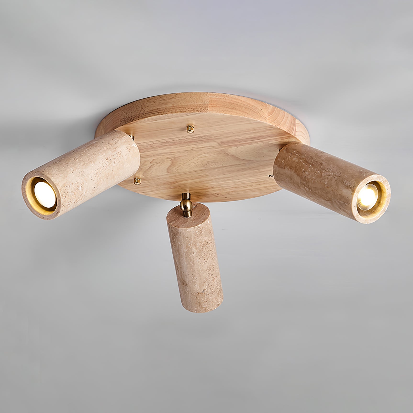 Terra Beam Ceiling Light by FIFTH & BEAM — product view 15