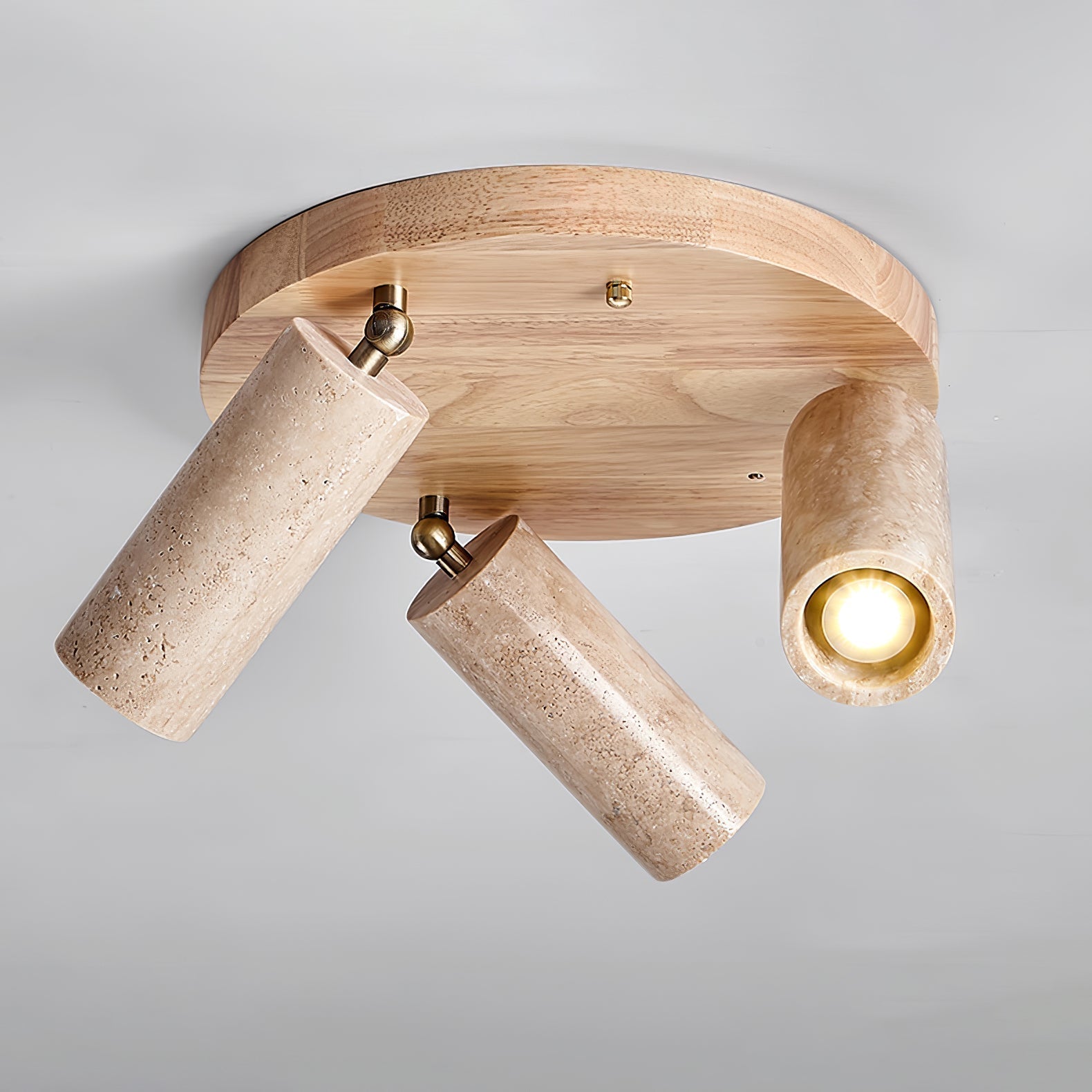 Terra Beam Ceiling Light by FIFTH & BEAM — product view 7