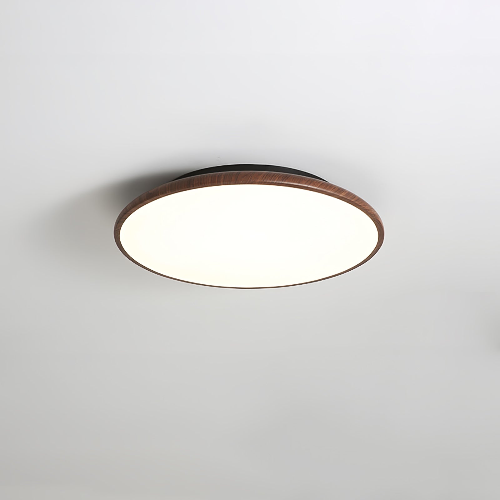 Thin Geometry Shape Ceiling Lamp by FIFTH & BEAM — product view 17