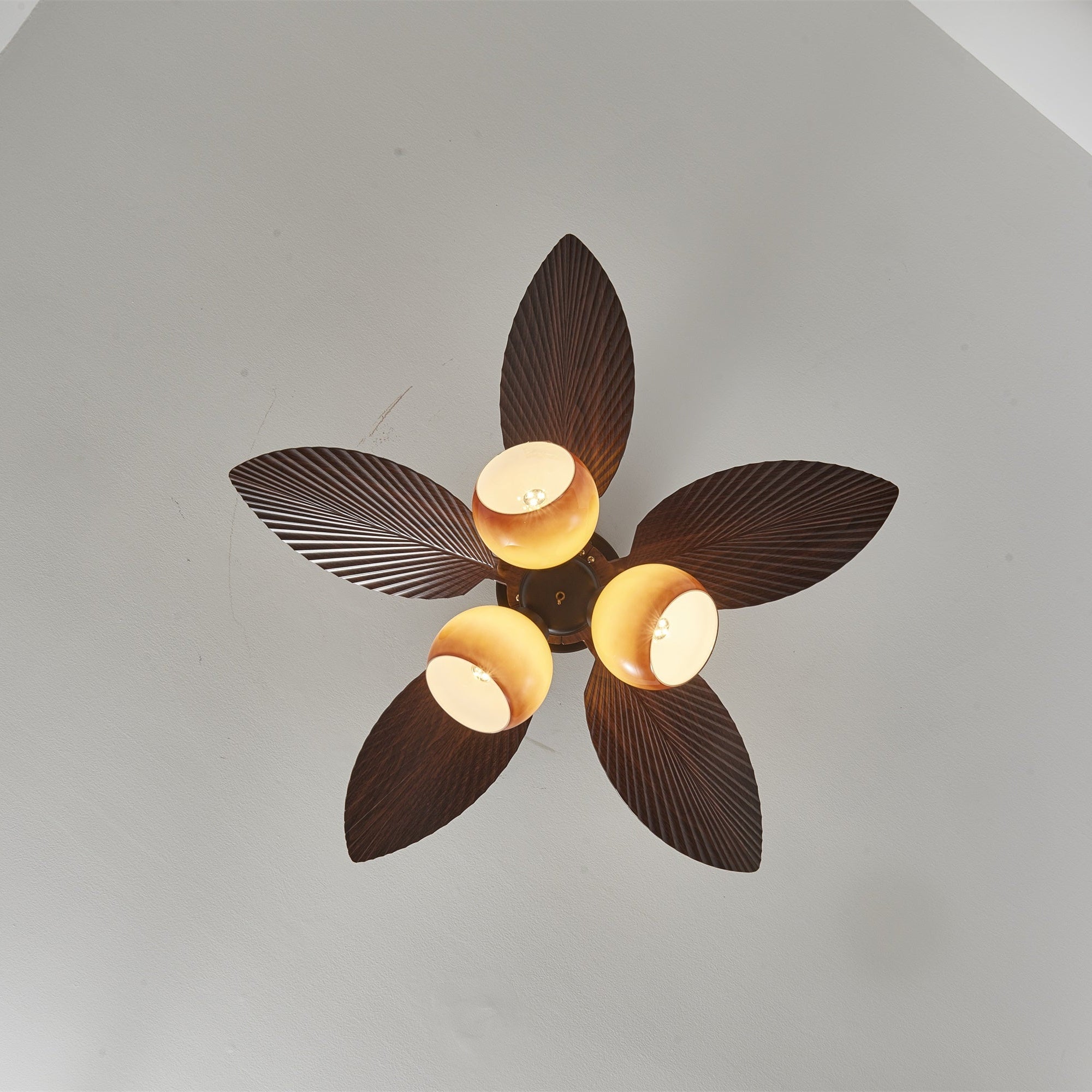 Tropiluxe Ceiling Fan Light by FIFTH & BEAM — product view 13