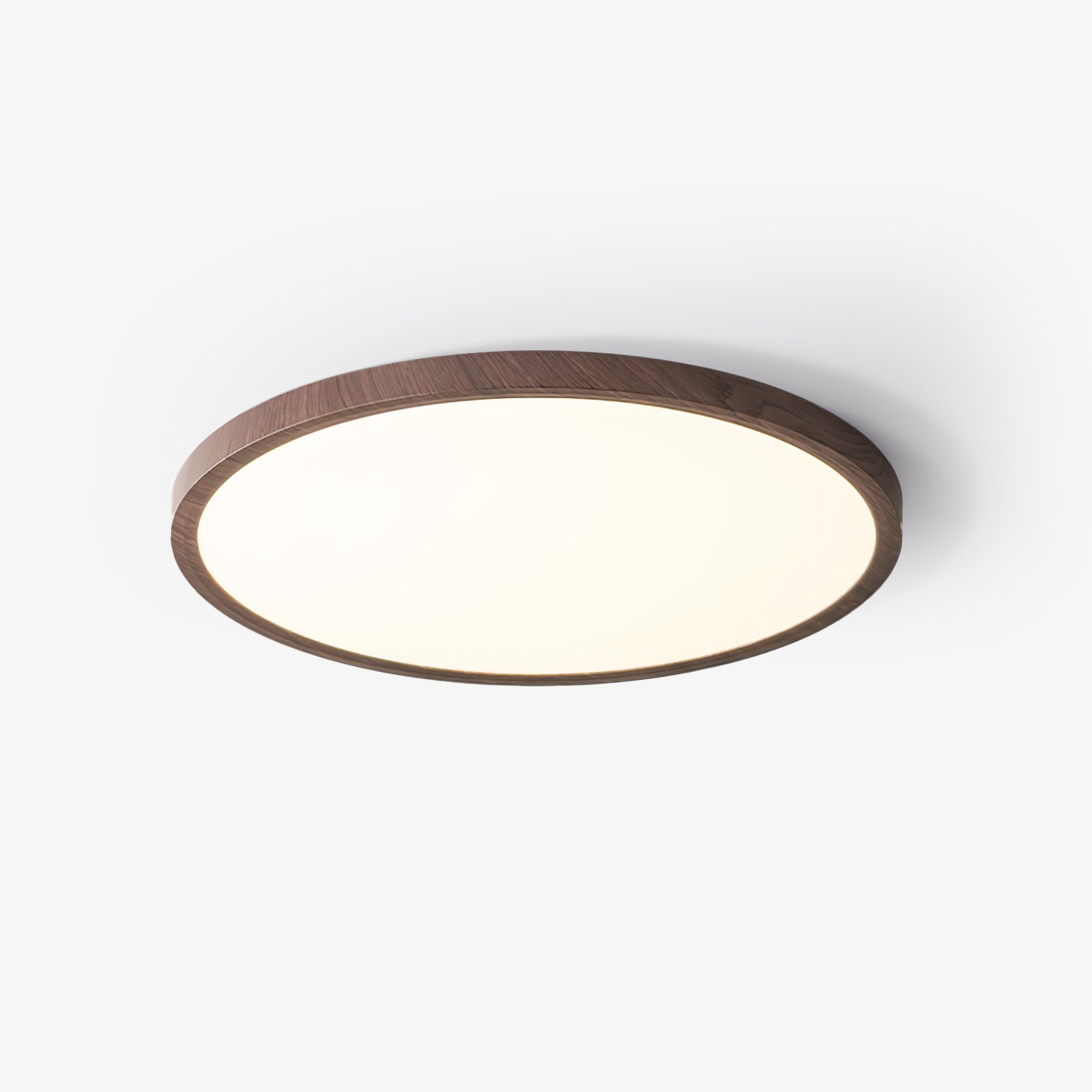 Ultrathin Round Ceiling Light by FIFTH & BEAM — product view 1