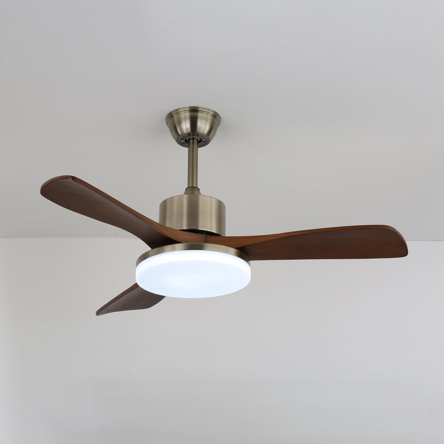 Vega Ceiling Fan Light by FIFTH & BEAM — product view 2