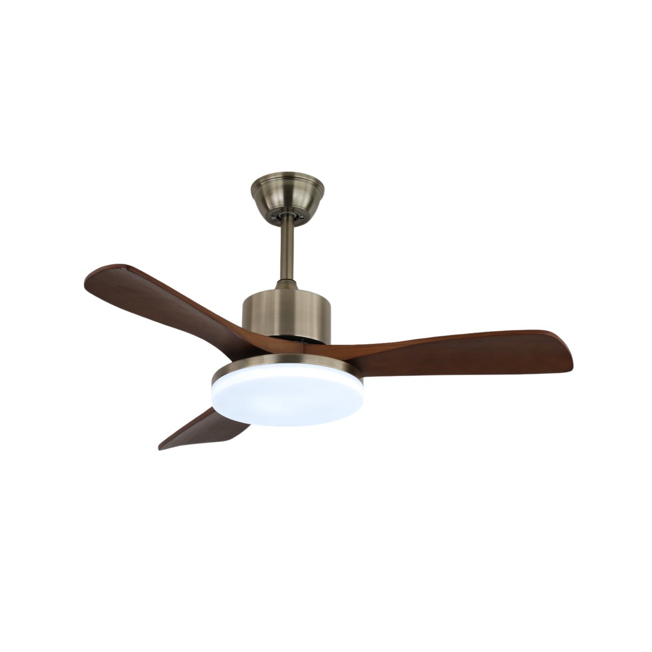 Vega Ceiling Fan Light by FIFTH & BEAM — product view 5