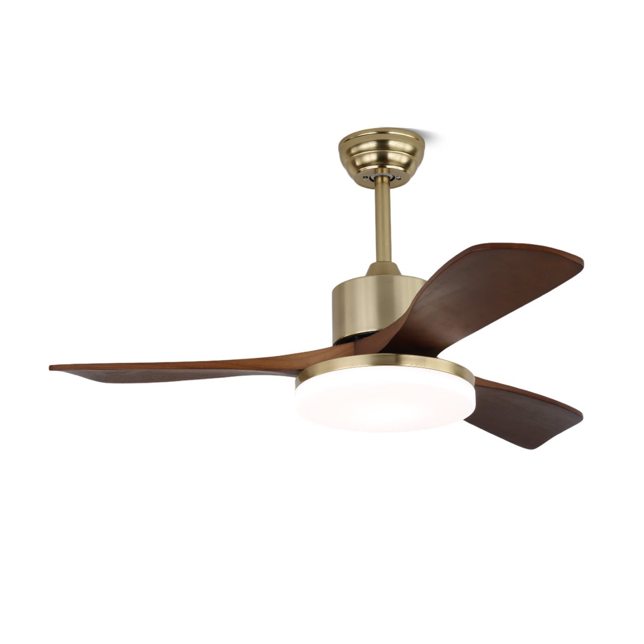 Vega Ceiling Fan Light by FIFTH & BEAM — product view 8