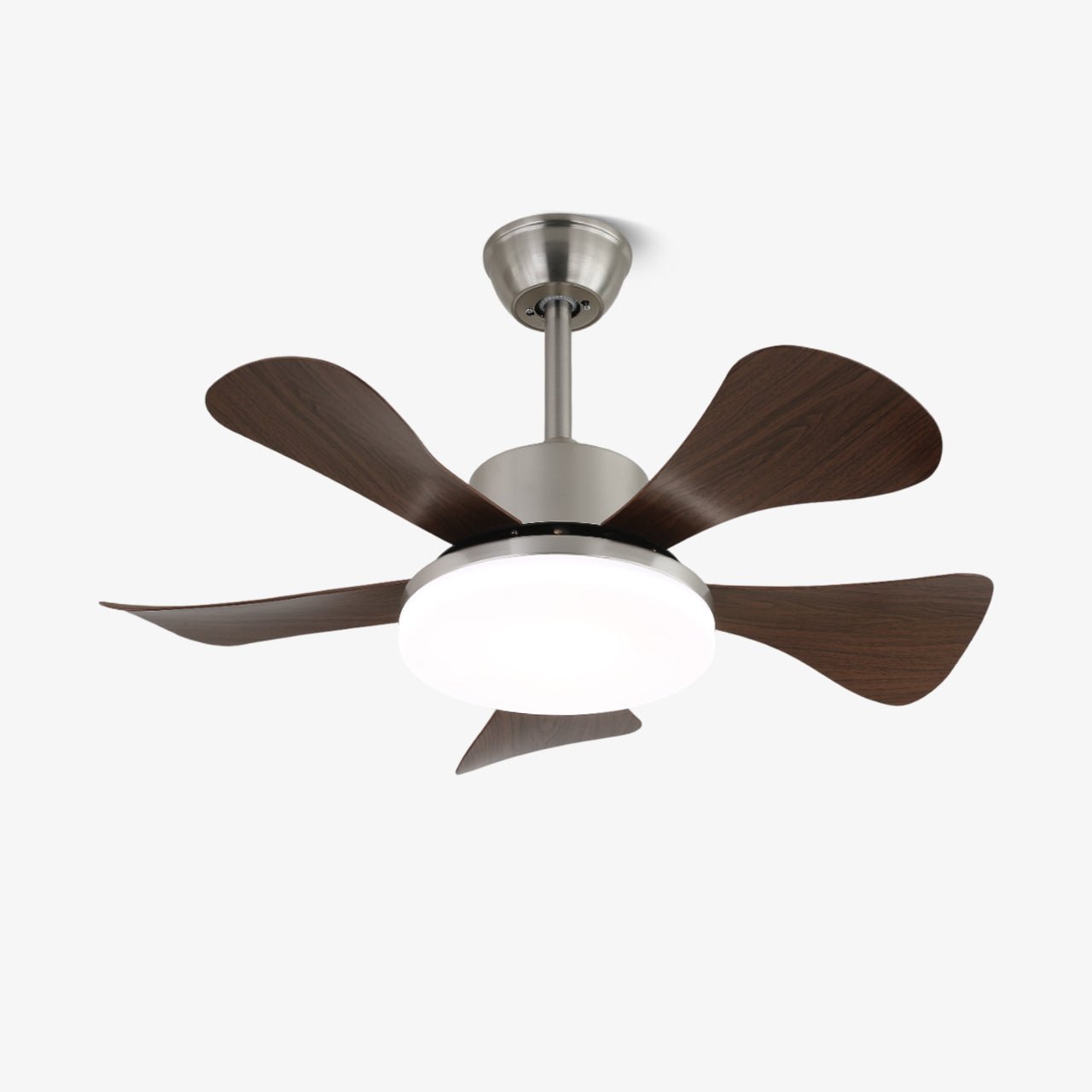 Vivian Ceiling Fan Light by FIFTH & BEAM — product view 1