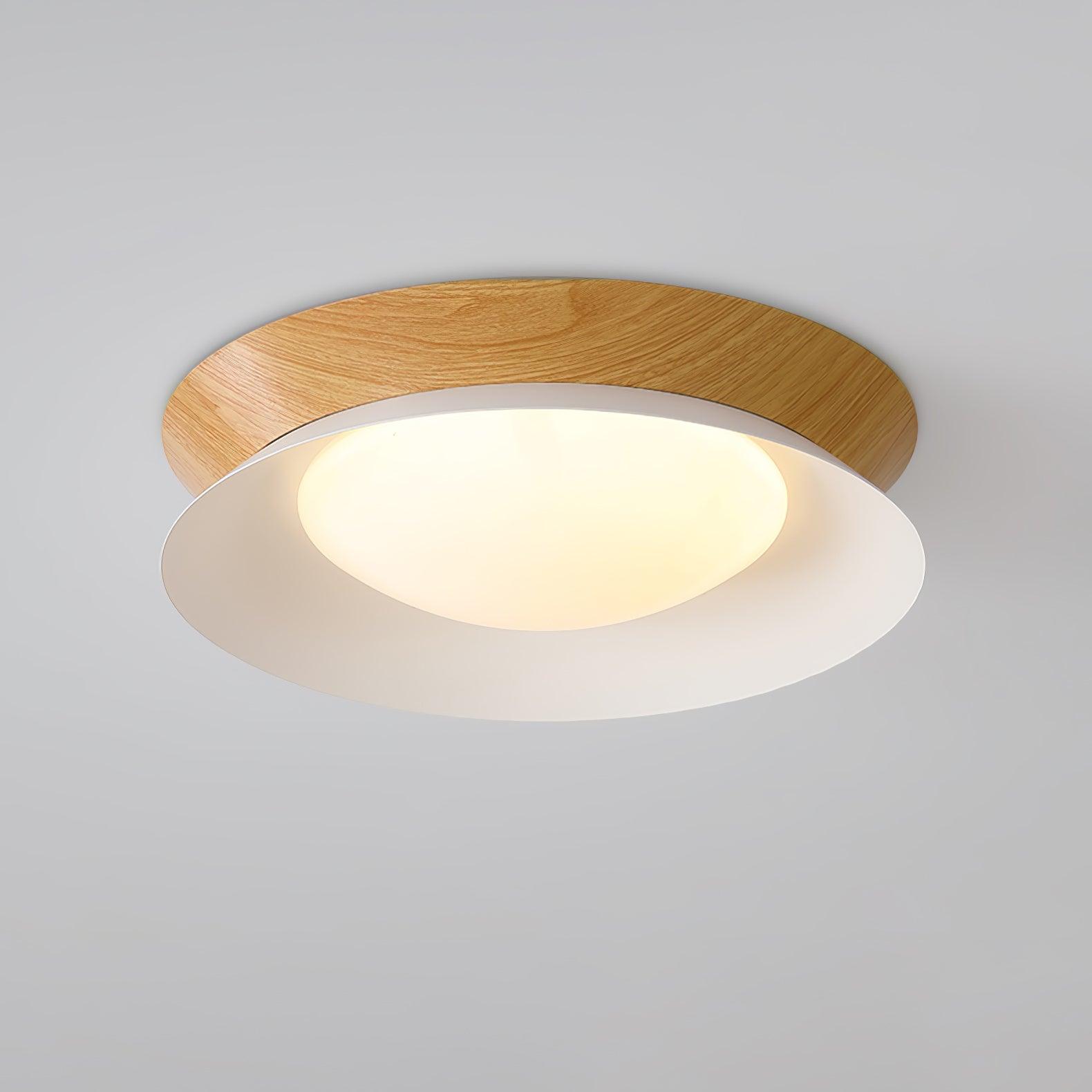 Double Half Round Ceiling Light by FIFTH & BEAM — product view 30
