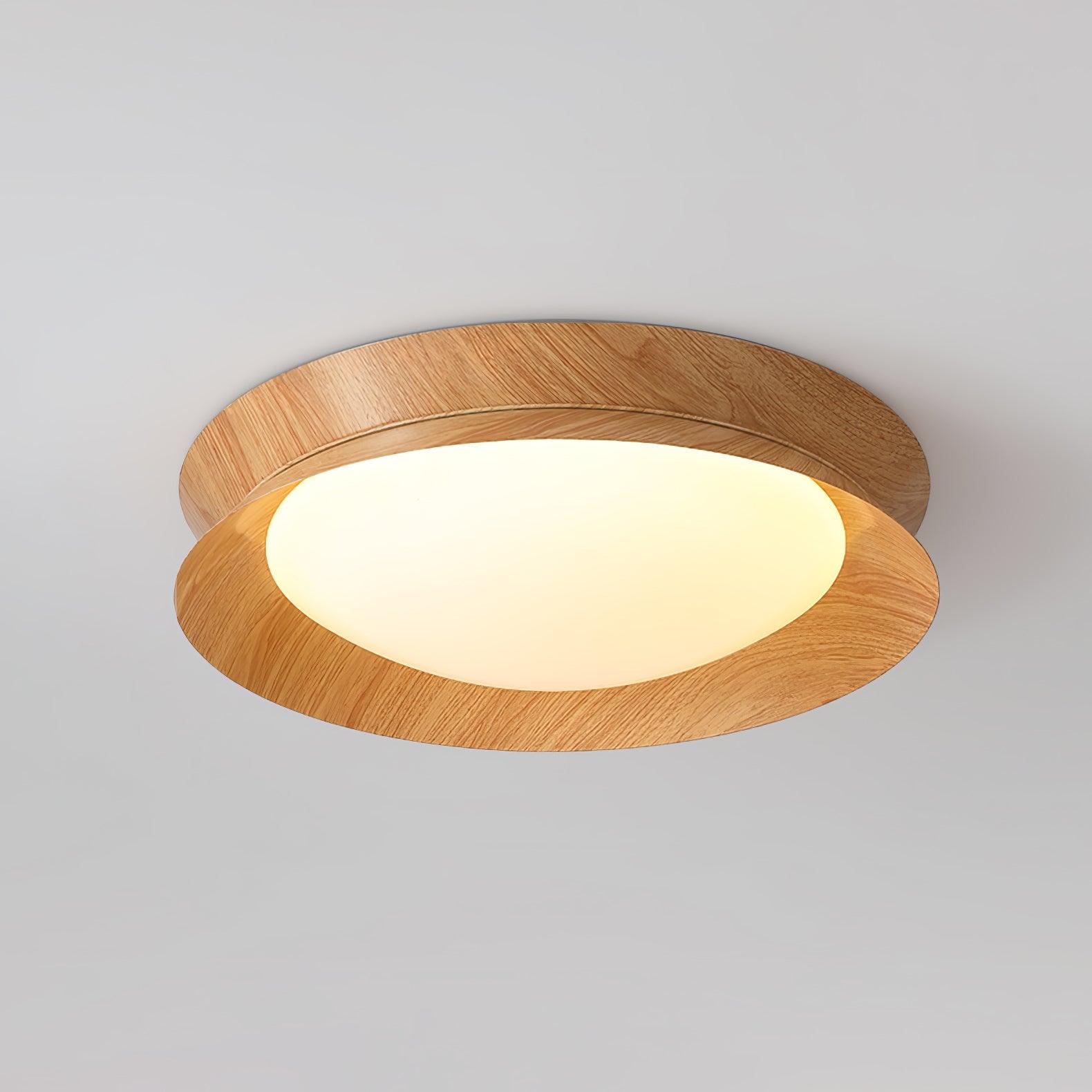 Double Half Round Ceiling Light by FIFTH & BEAM — product view 28