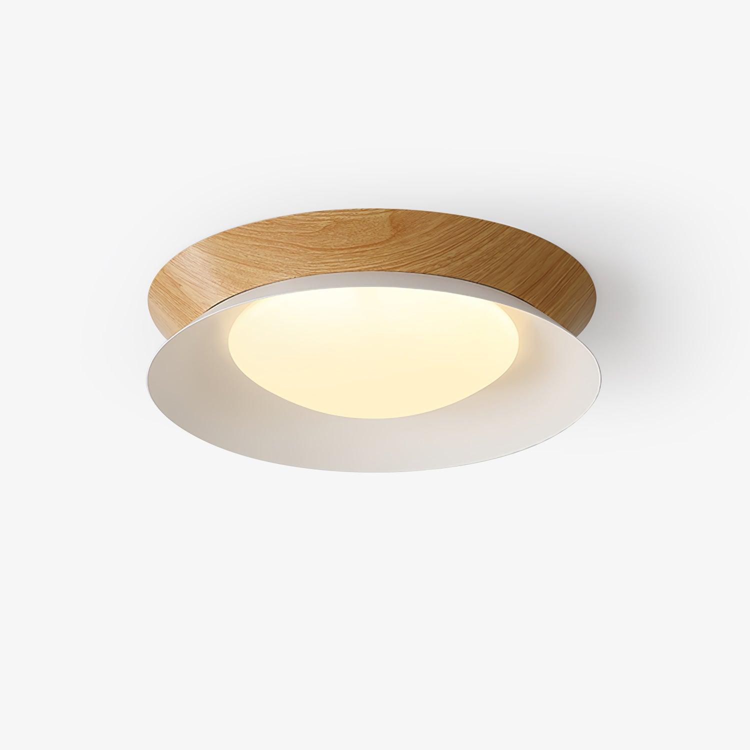 Double Half Round Ceiling Light by FIFTH & BEAM — product view 1