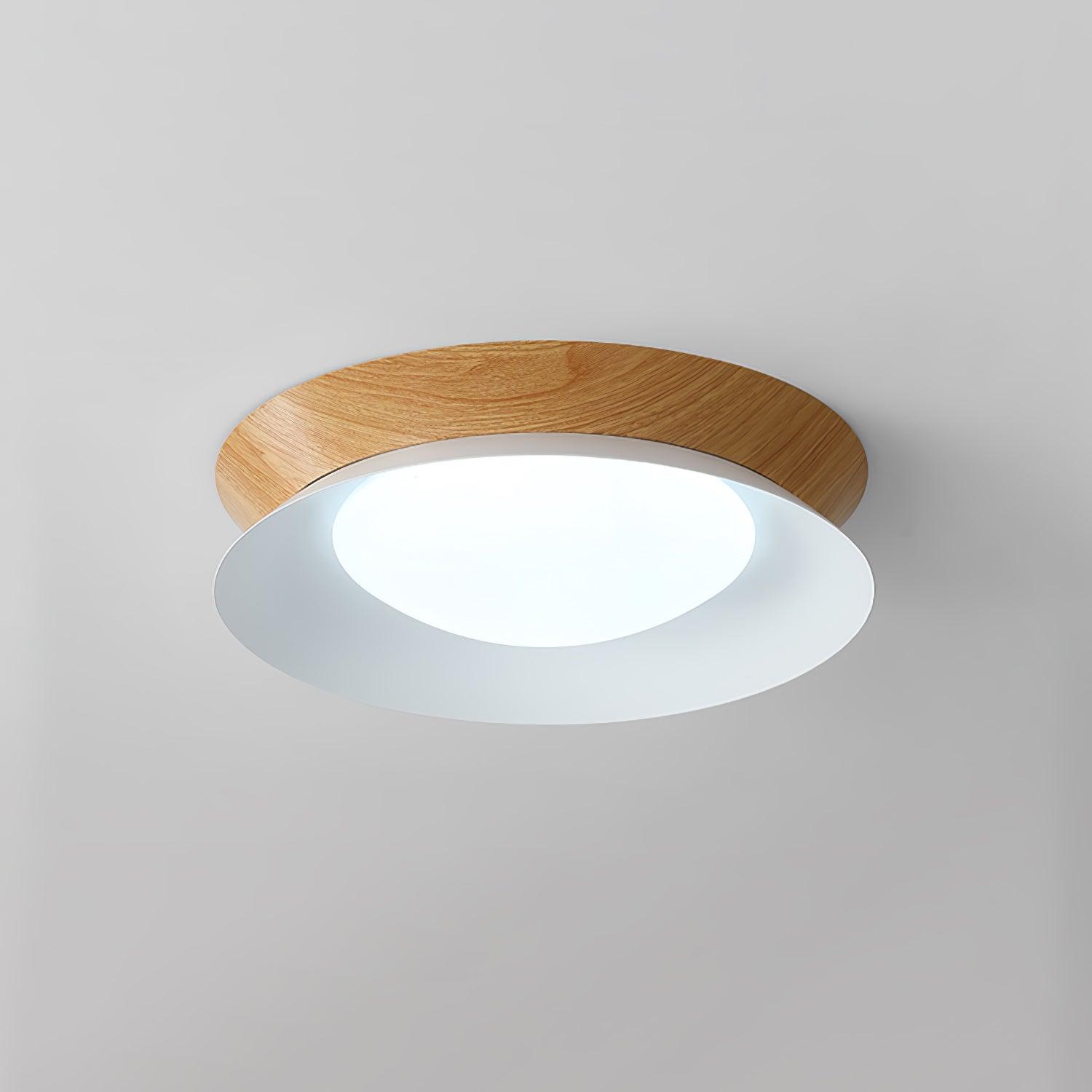 Double Half Round Ceiling Light by FIFTH & BEAM — product view 22