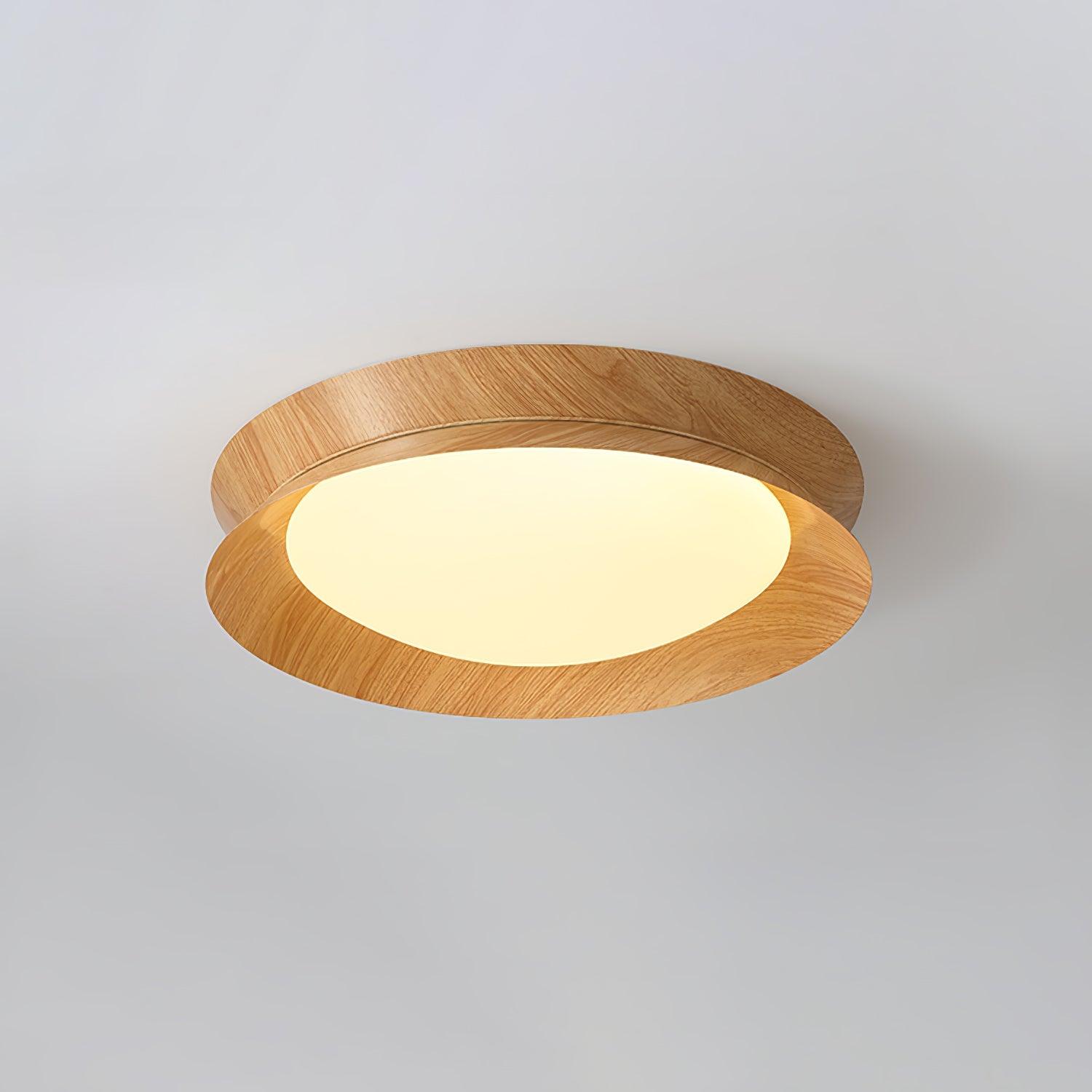 Double Half Round Ceiling Light by FIFTH & BEAM — product view 24