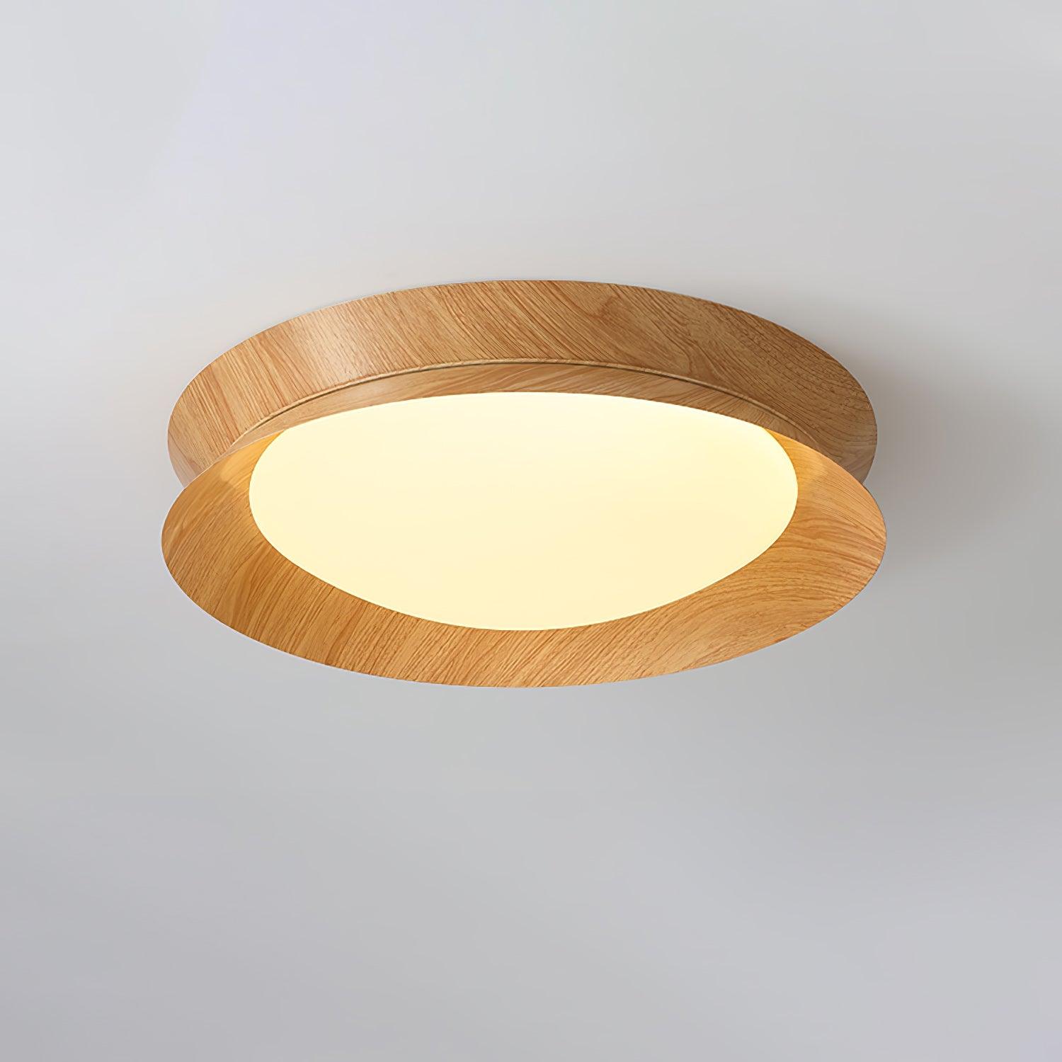 Double Half Round Ceiling Light by FIFTH & BEAM — product view 12