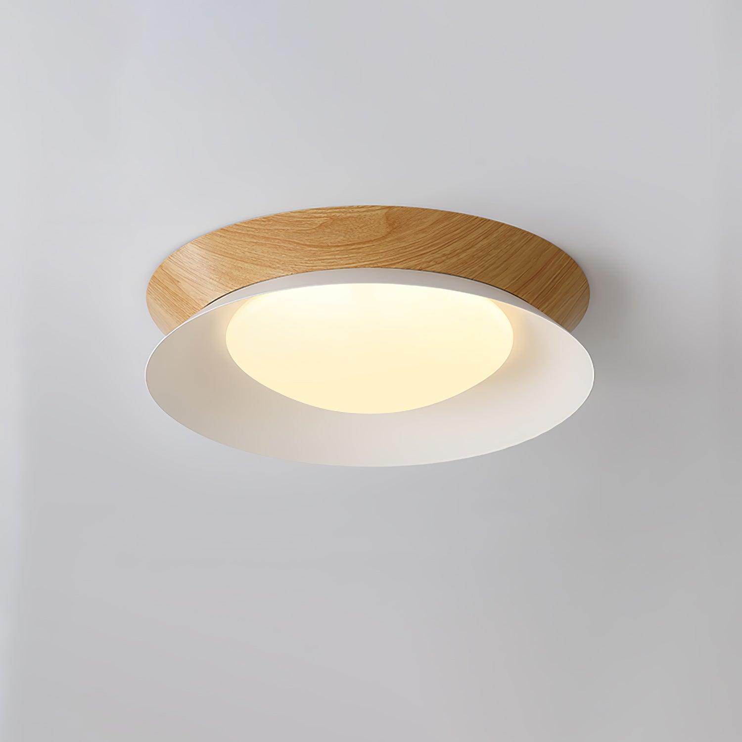 Double Half Round Ceiling Light by FIFTH & BEAM — product view 29