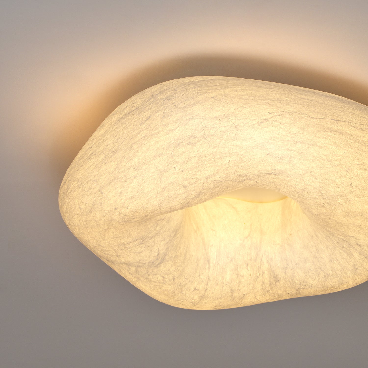 Yunduo Silk Ceiling Lamp by FIFTH & BEAM — product view 33