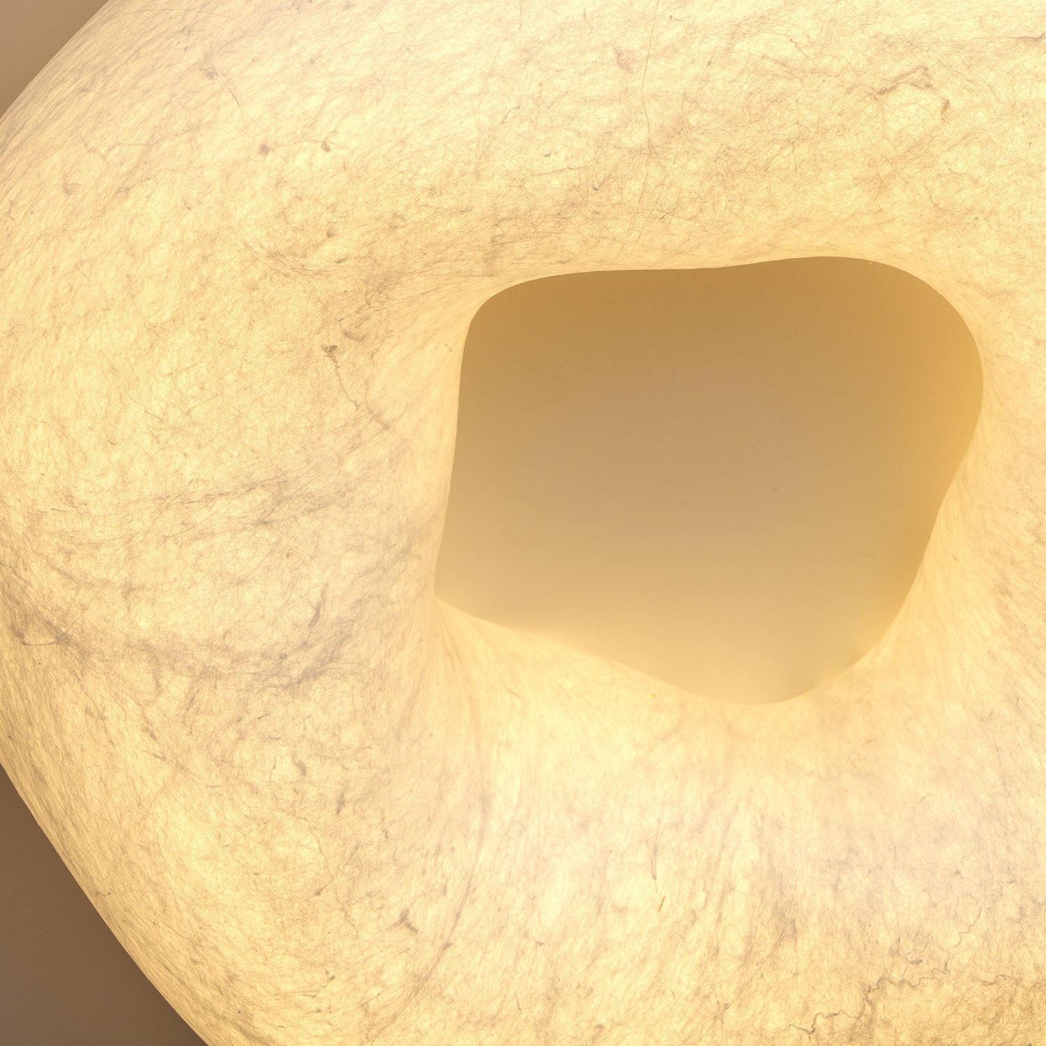 Yunduo Silk Ceiling Lamp by FIFTH & BEAM — product view 38