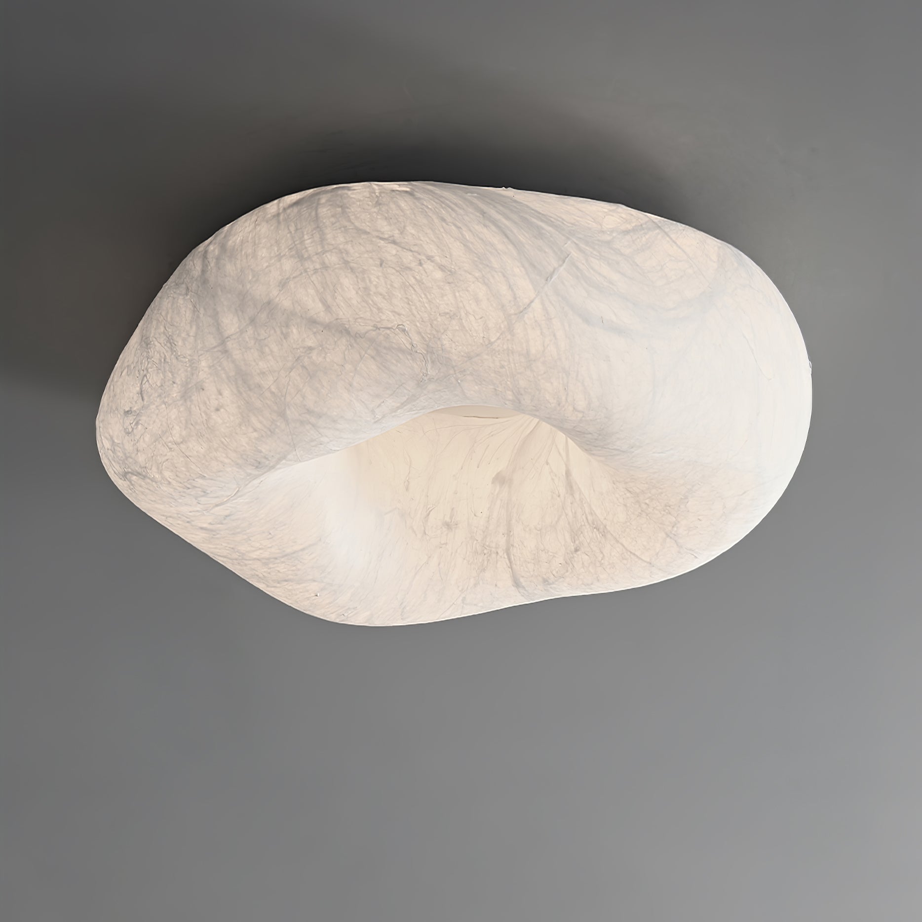 Yunduo Silk Ceiling Lamp by FIFTH & BEAM — product view 29
