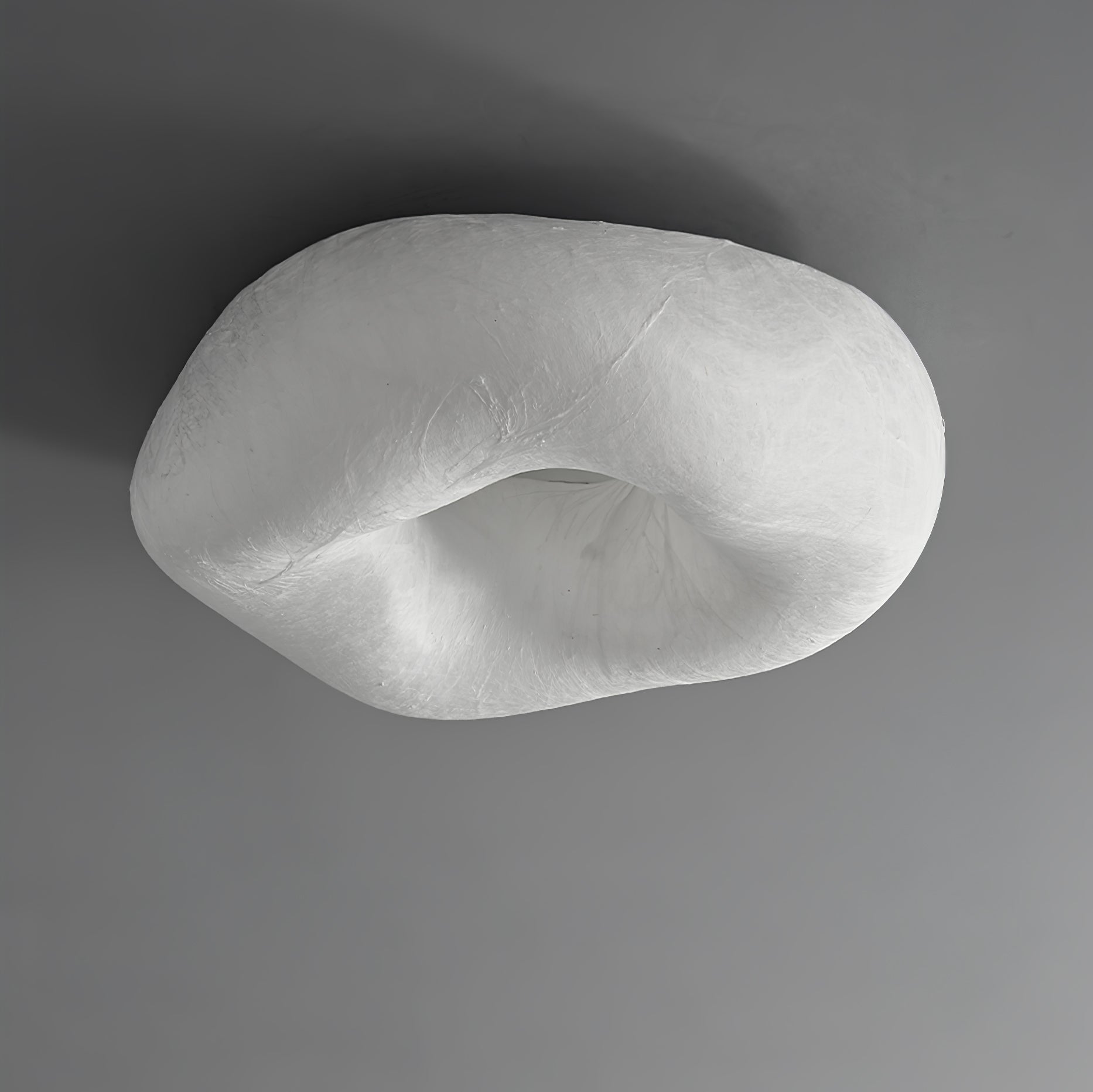 Yunduo Silk Ceiling Lamp by FIFTH & BEAM — product view 30