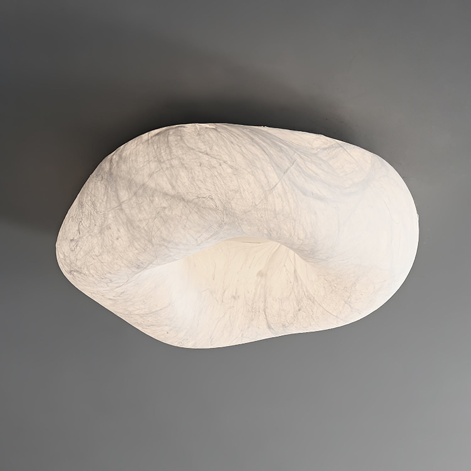 Yunduo Silk Ceiling Lamp by FIFTH & BEAM — product view 27