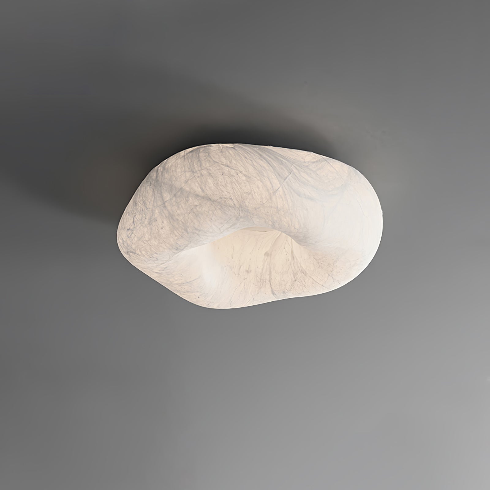 Yunduo Silk Ceiling Lamp by FIFTH & BEAM — product view 25